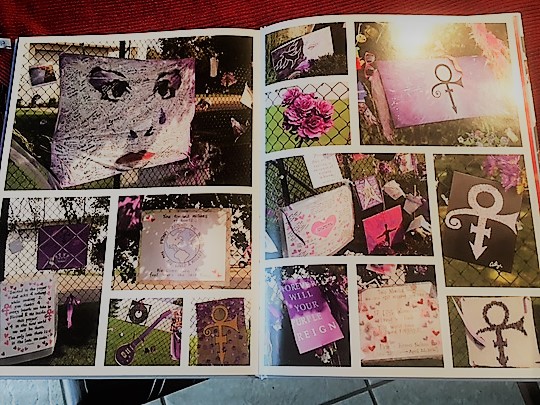 Guitar on fence from book.JPG