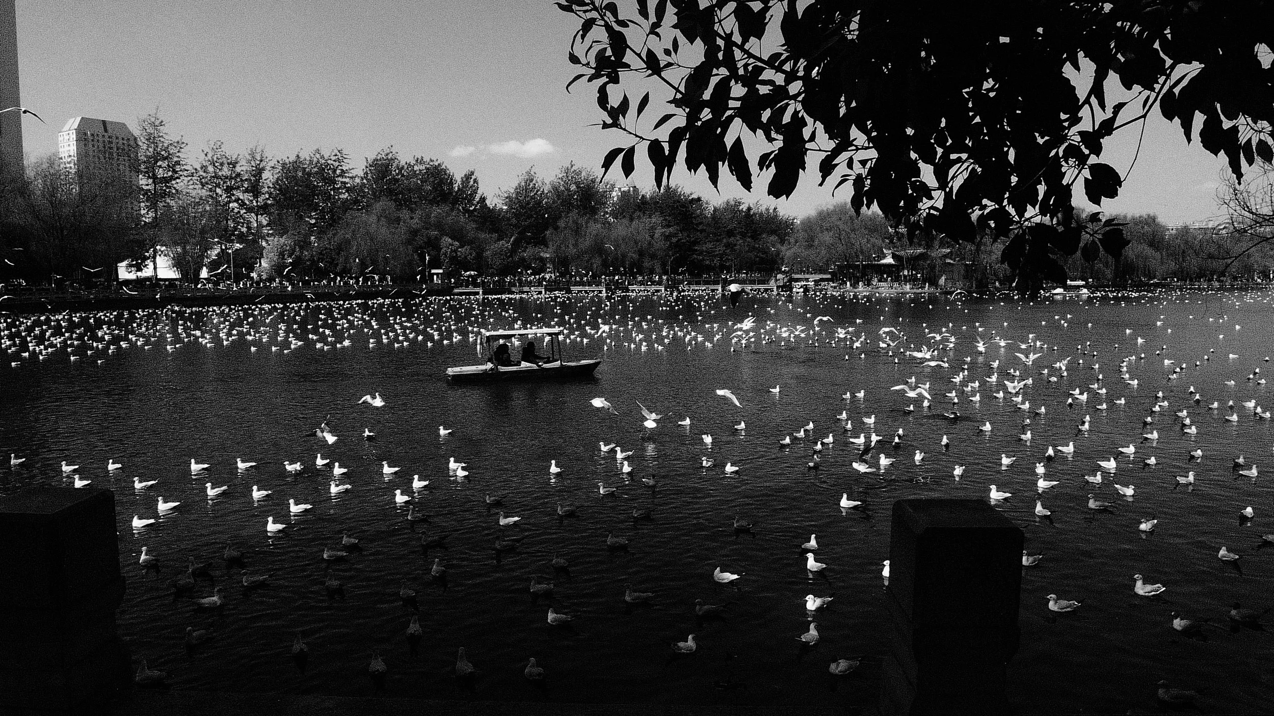 P1020364.JPG