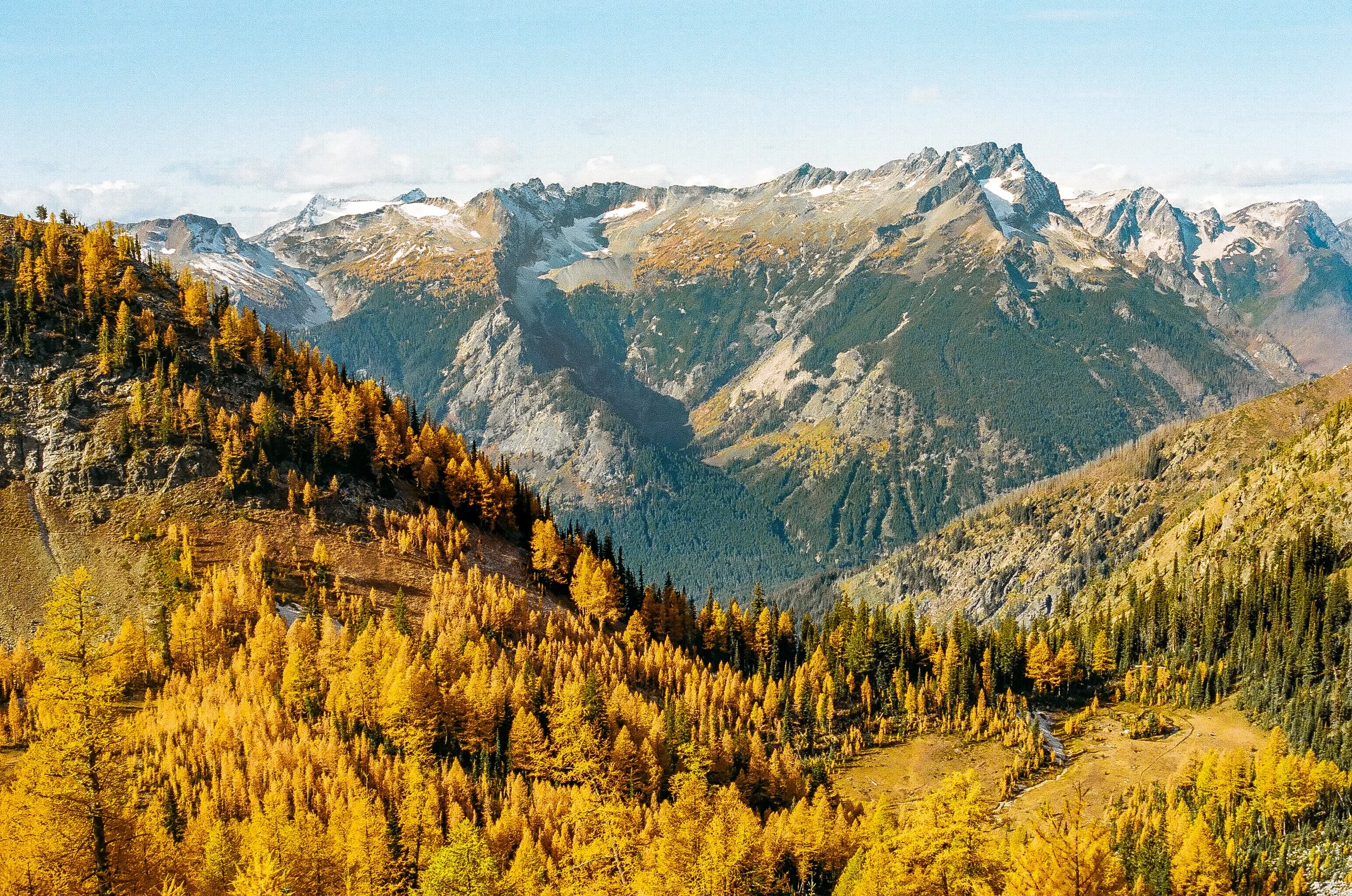 Mountain range with snow-capped peaks, forested slopes, and a yellow-orange fall forest in the foreground.