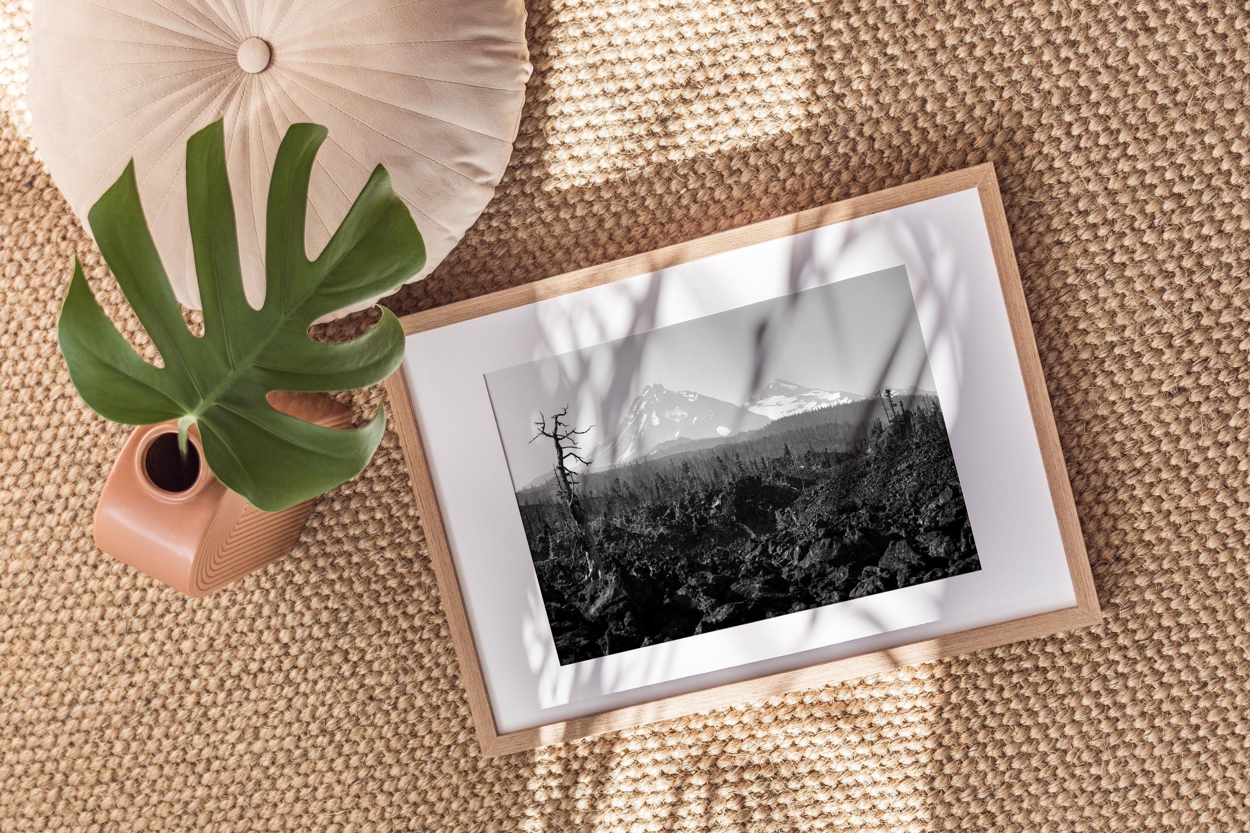 6 North and Middle Sister.jpg