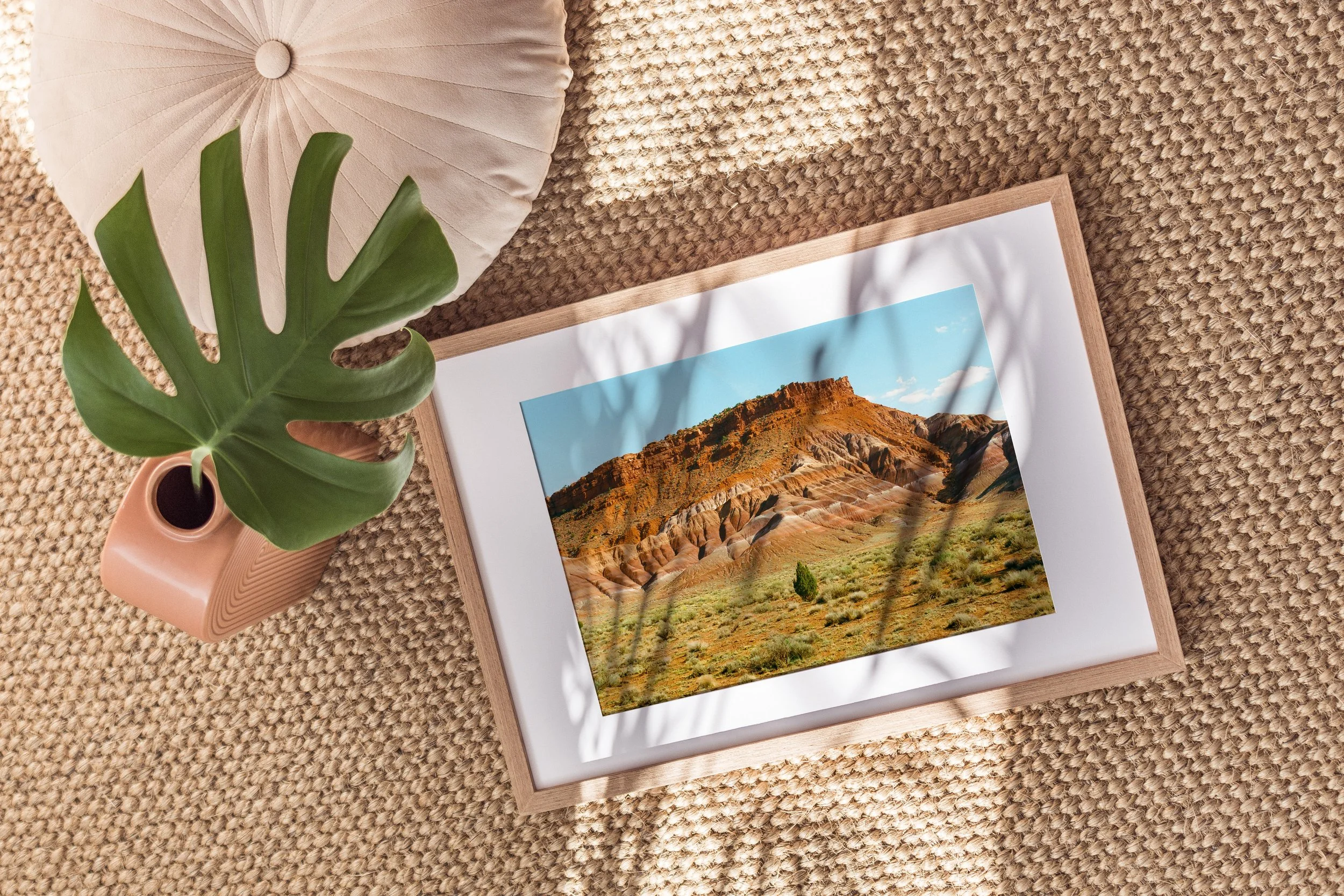 7 Paria Canyon Juniper Tree.jpg