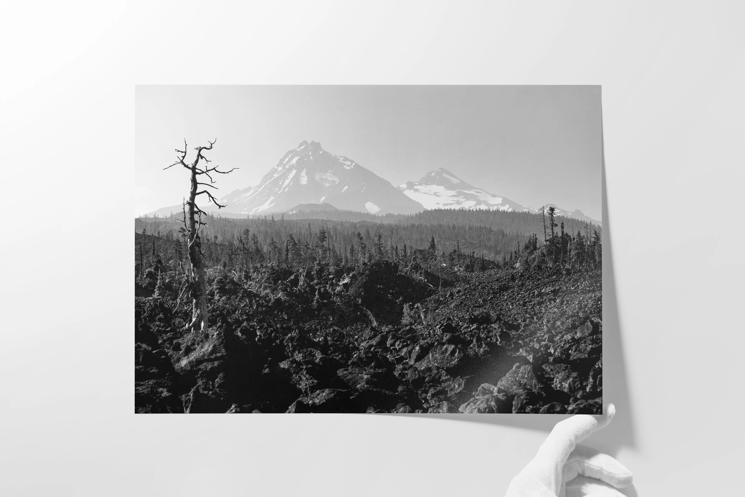 2 North and Middle Sister.jpg