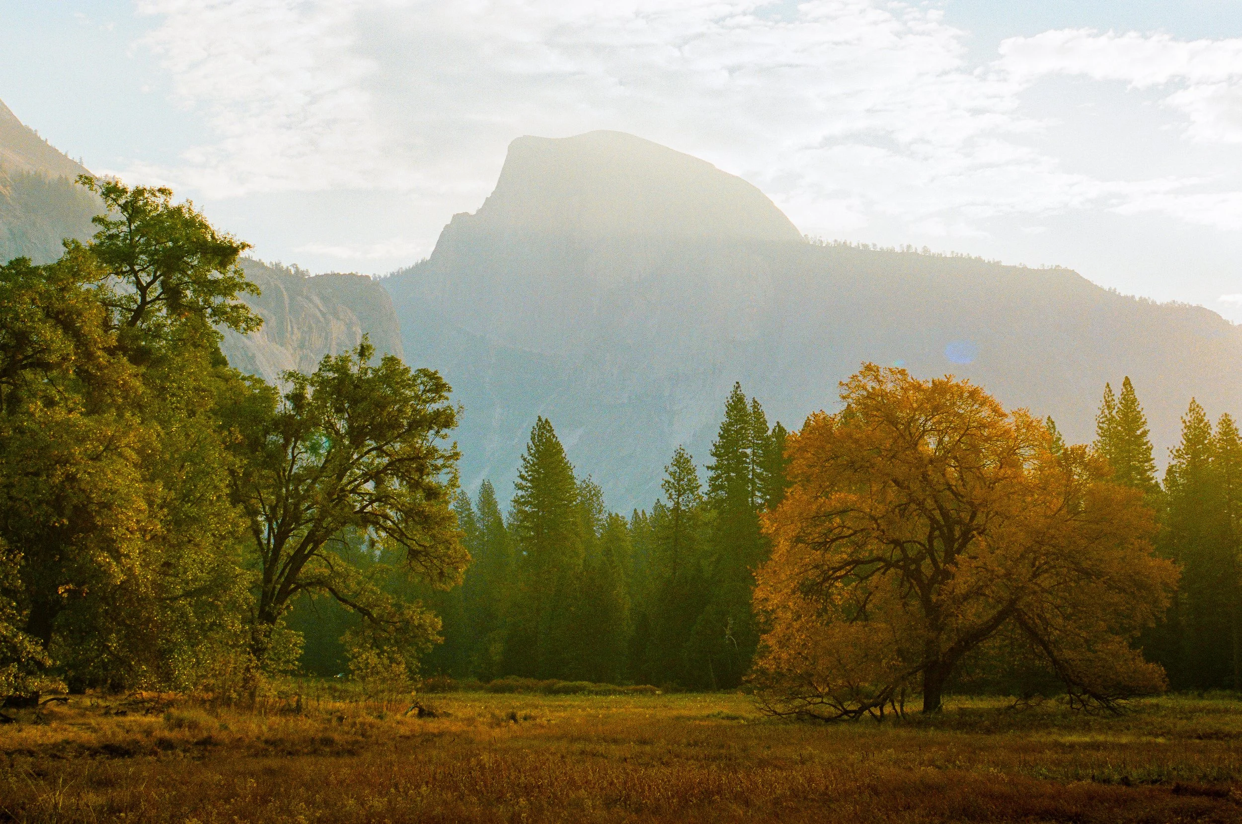A scenic landscape with distant mountains, a forest of pine trees, and a grassy field with two large deciduous trees showing fall colors.