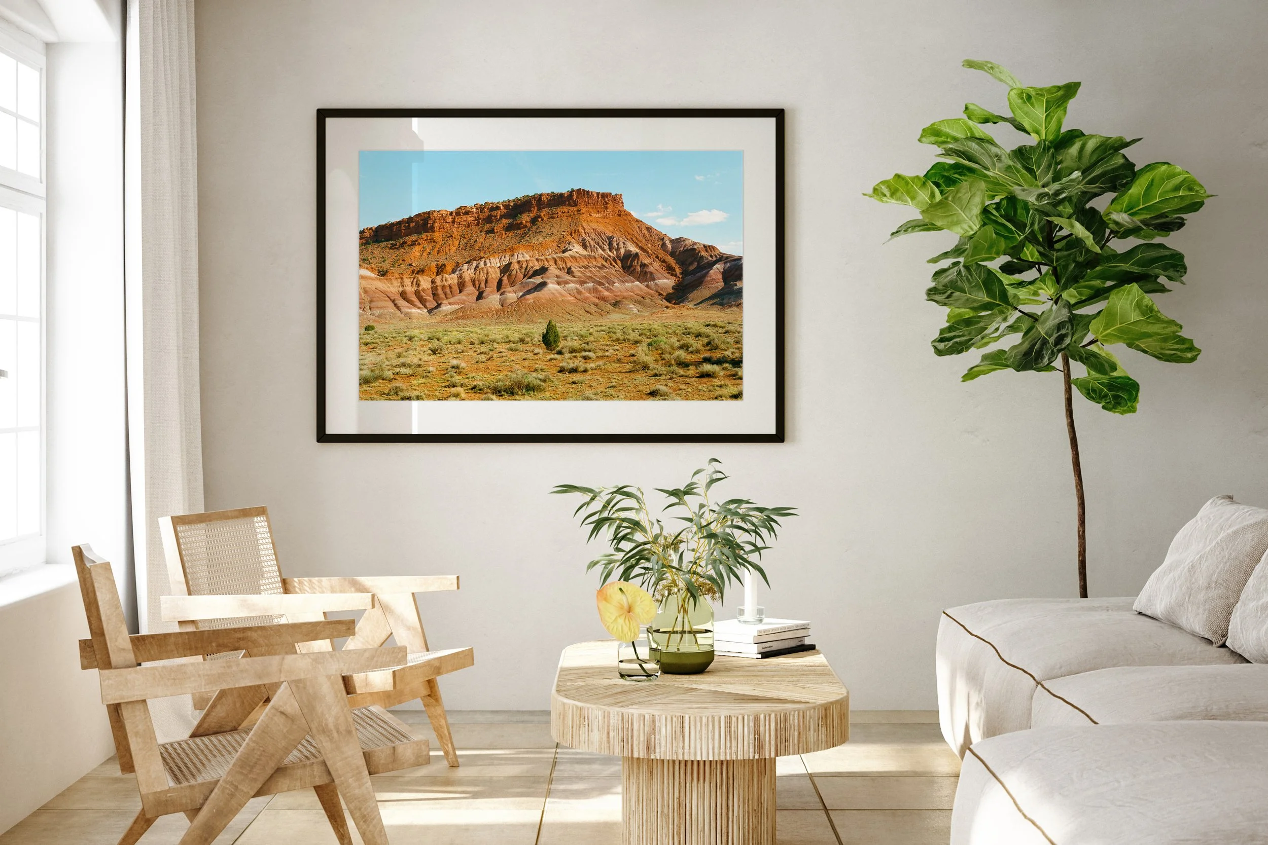 4 Paria Canyon Juniper Tree.jpg