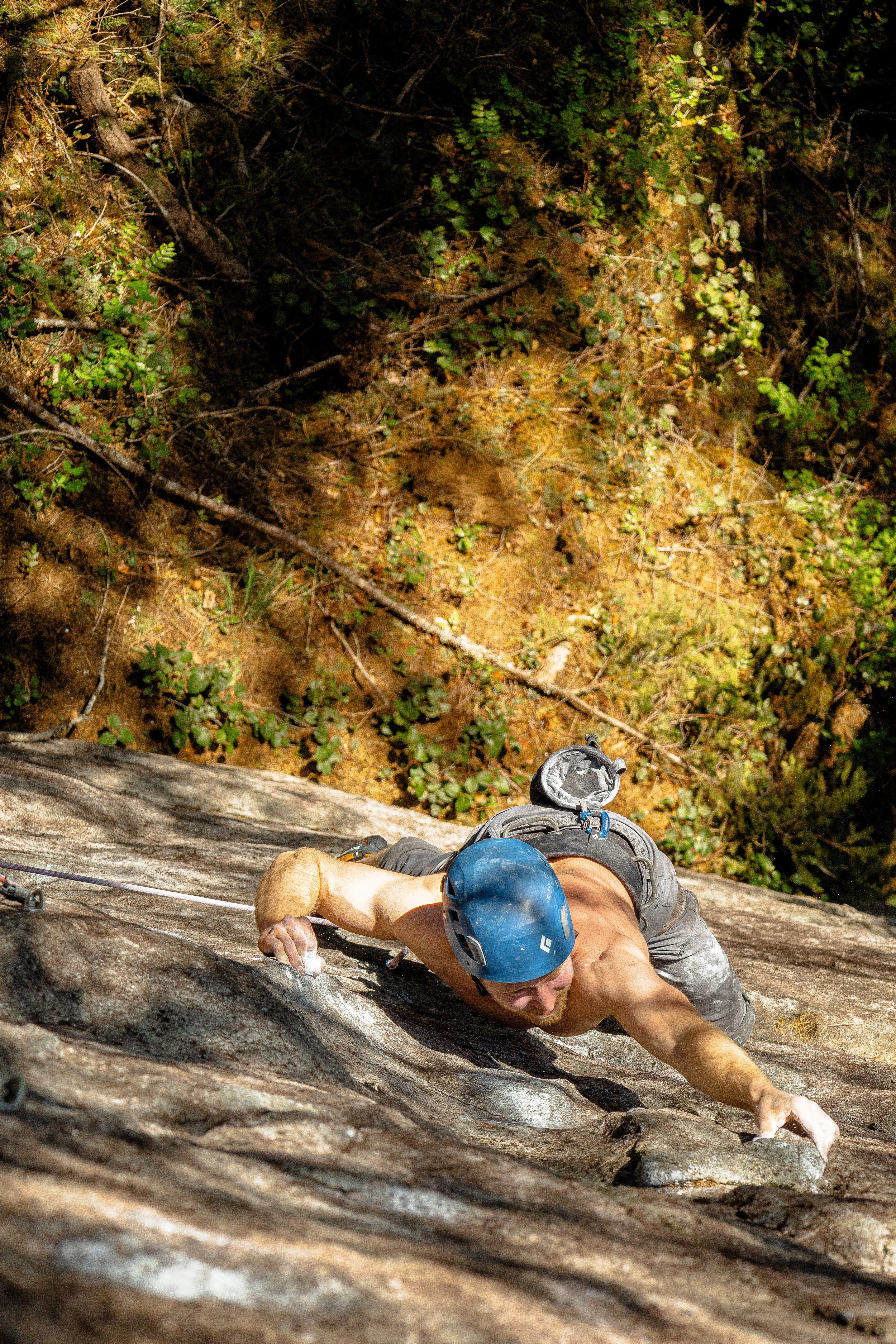 A person rock climbing on a vertical rock face, wearing a helmet and climbing gear, with a background of green foliage and tree branches.