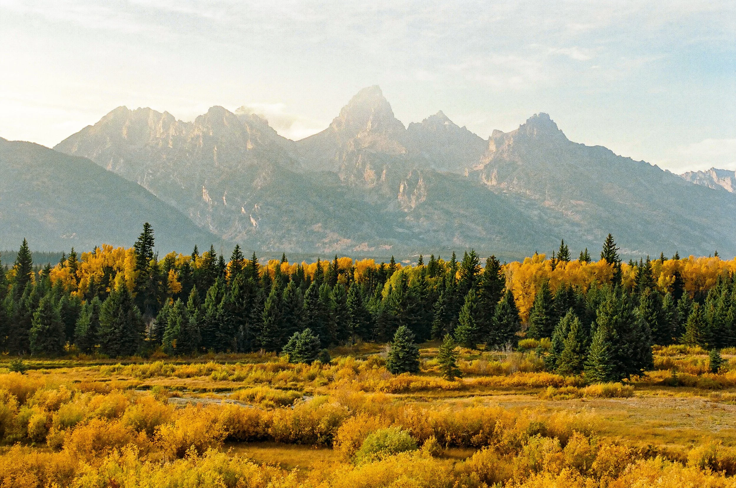 Scenic view of a mountain range with rugged peaks in the background, dense forest in the midground, and a yellow and green foliage-covered landscape in the foreground.