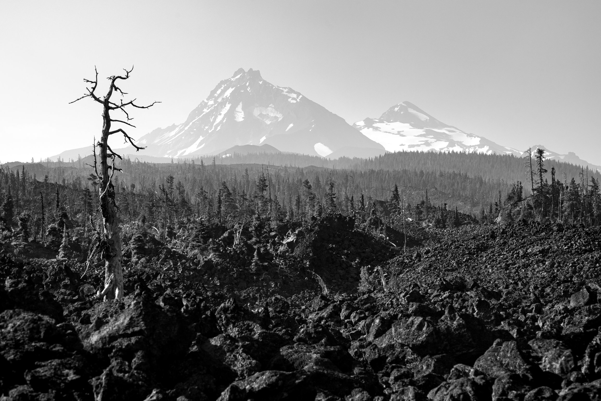 10 North and Middle Sister.jpg