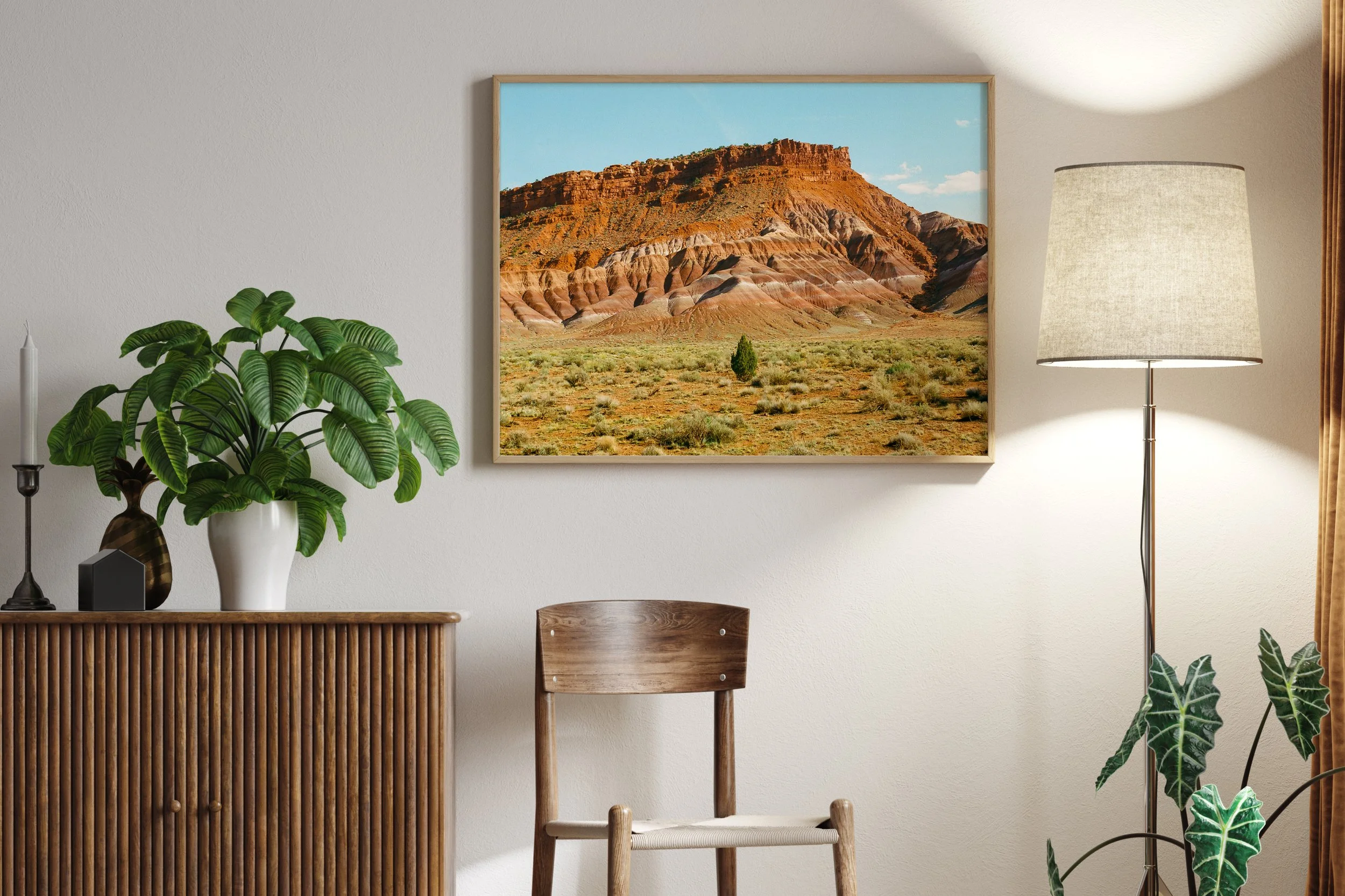 8 Paria Canyon Juniper Tree.jpg