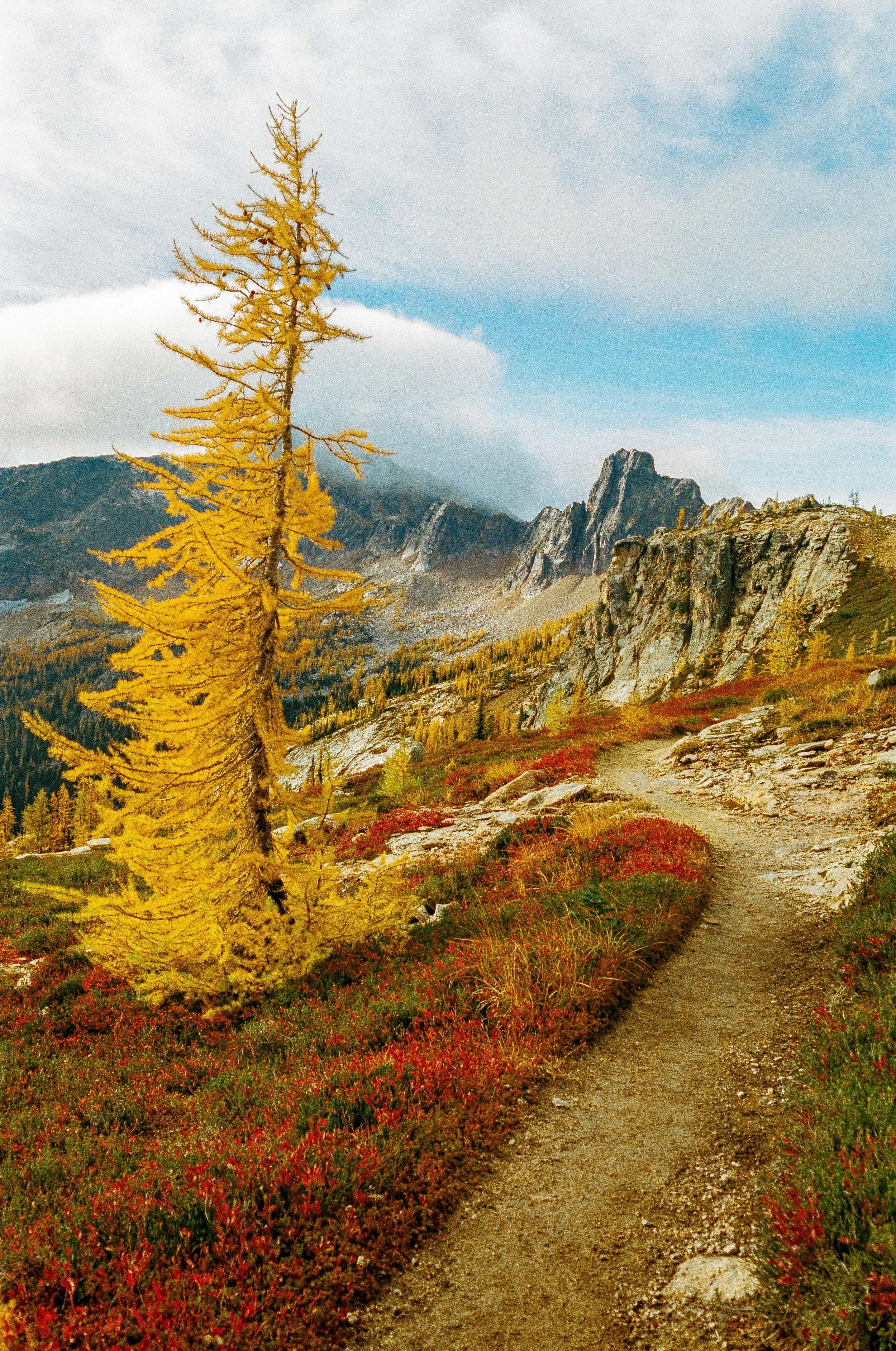 A mountain trail winding through rocky terrain with colorful fall foliage, a yellow tree on the left, steep rocky ridges in the background, and a partly cloudy blue sky.