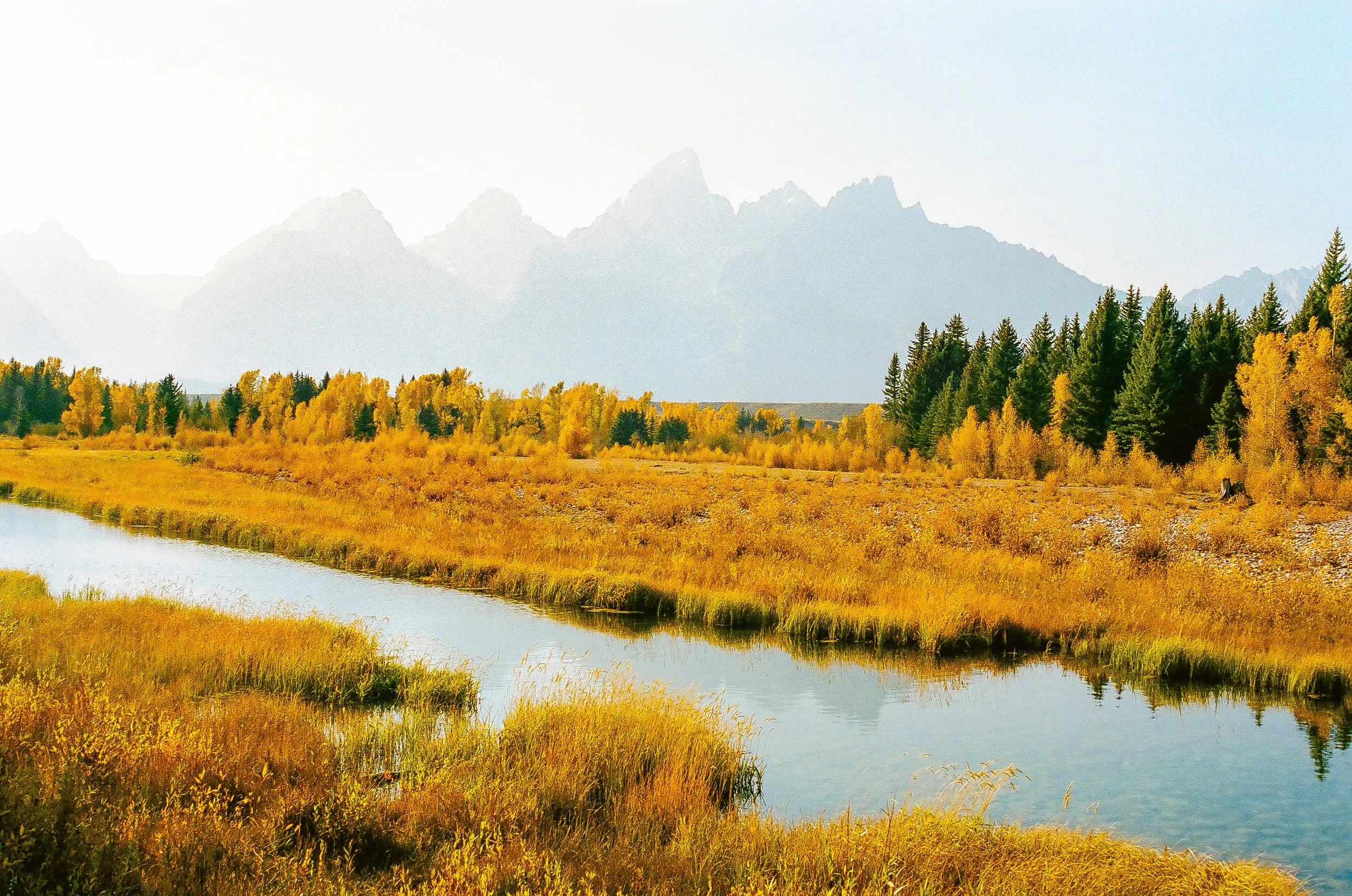 Autumn landscape with a river, yellow and green trees, and mountains in the distance under a clear sky.