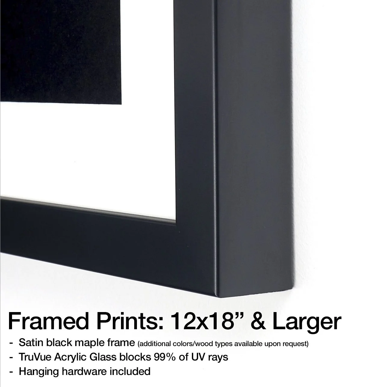 12x18 Frame Info.jpg