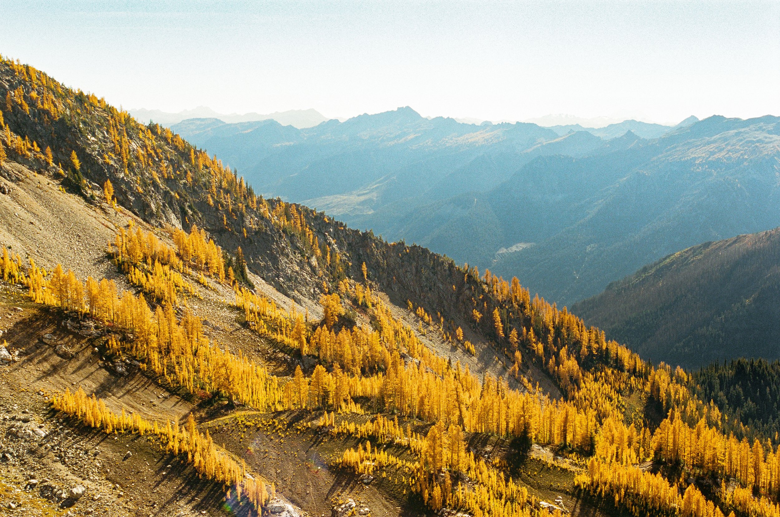Mountain landscape with a forest of yellow and green trees on the slopes and distant mountain ranges in the background.