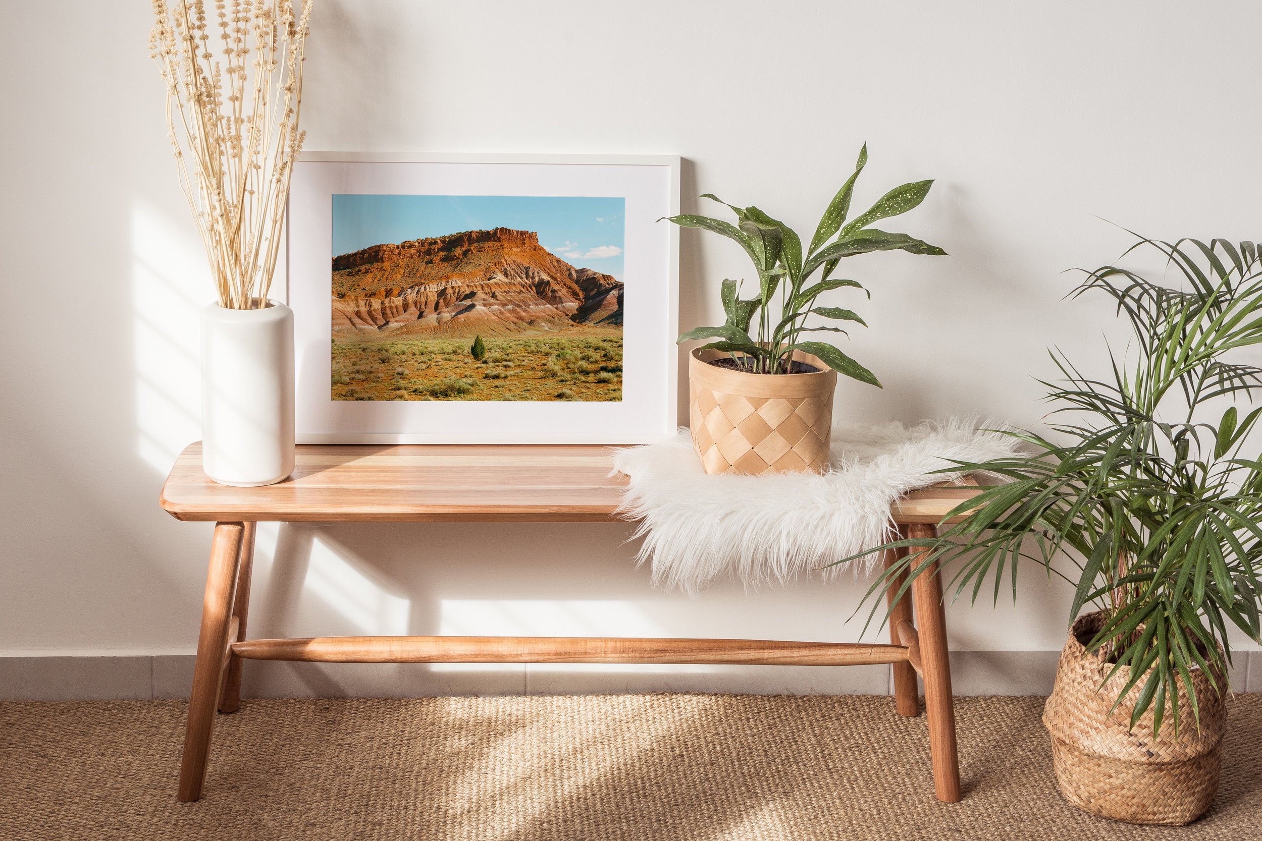 6 Paria Canyon Juniper Tree.jpg
