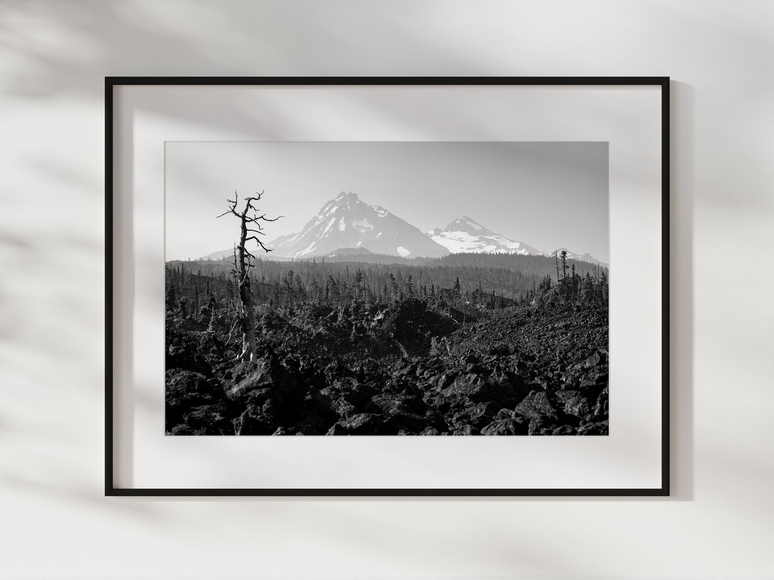 1 North and Middle Sister.jpg