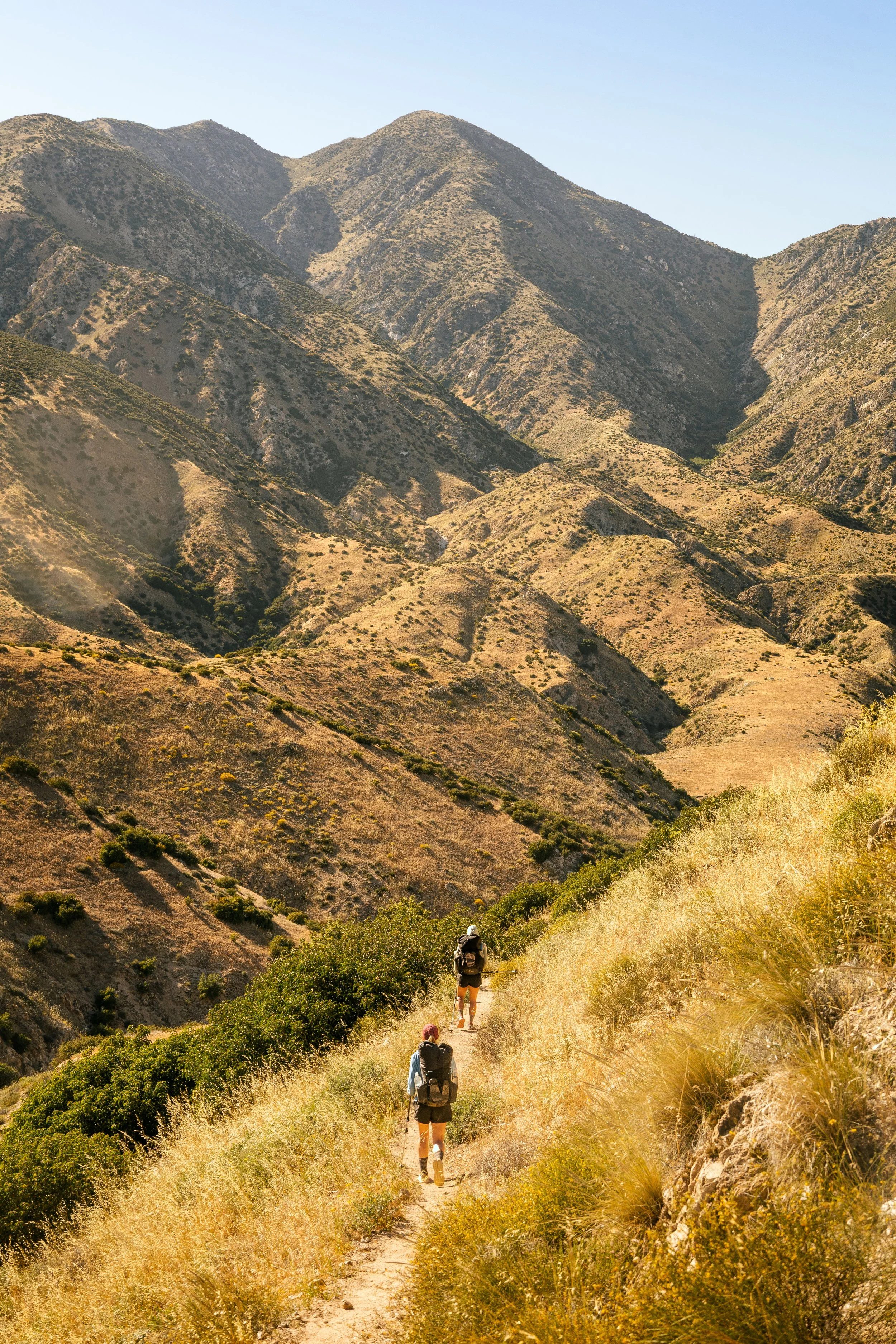 Hikers walking along a trail through dry, grassy hills with mountain ranges in the background under a clear blue sky.