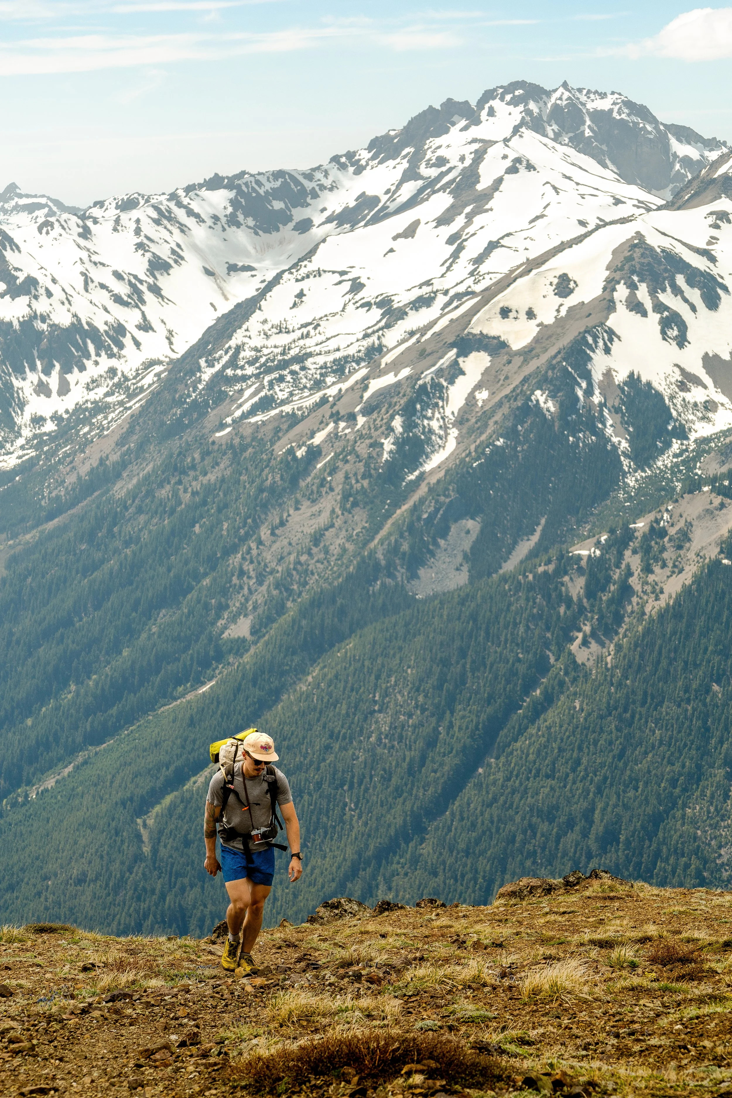 A person hiking on a mountain trail with snow-capped peaks and a dense green forest in the background.