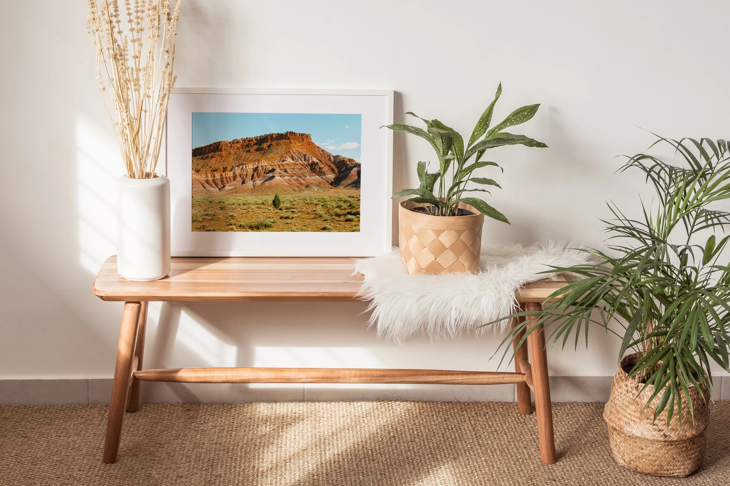 6 Paria Canyon Juniper Tree.jpg
