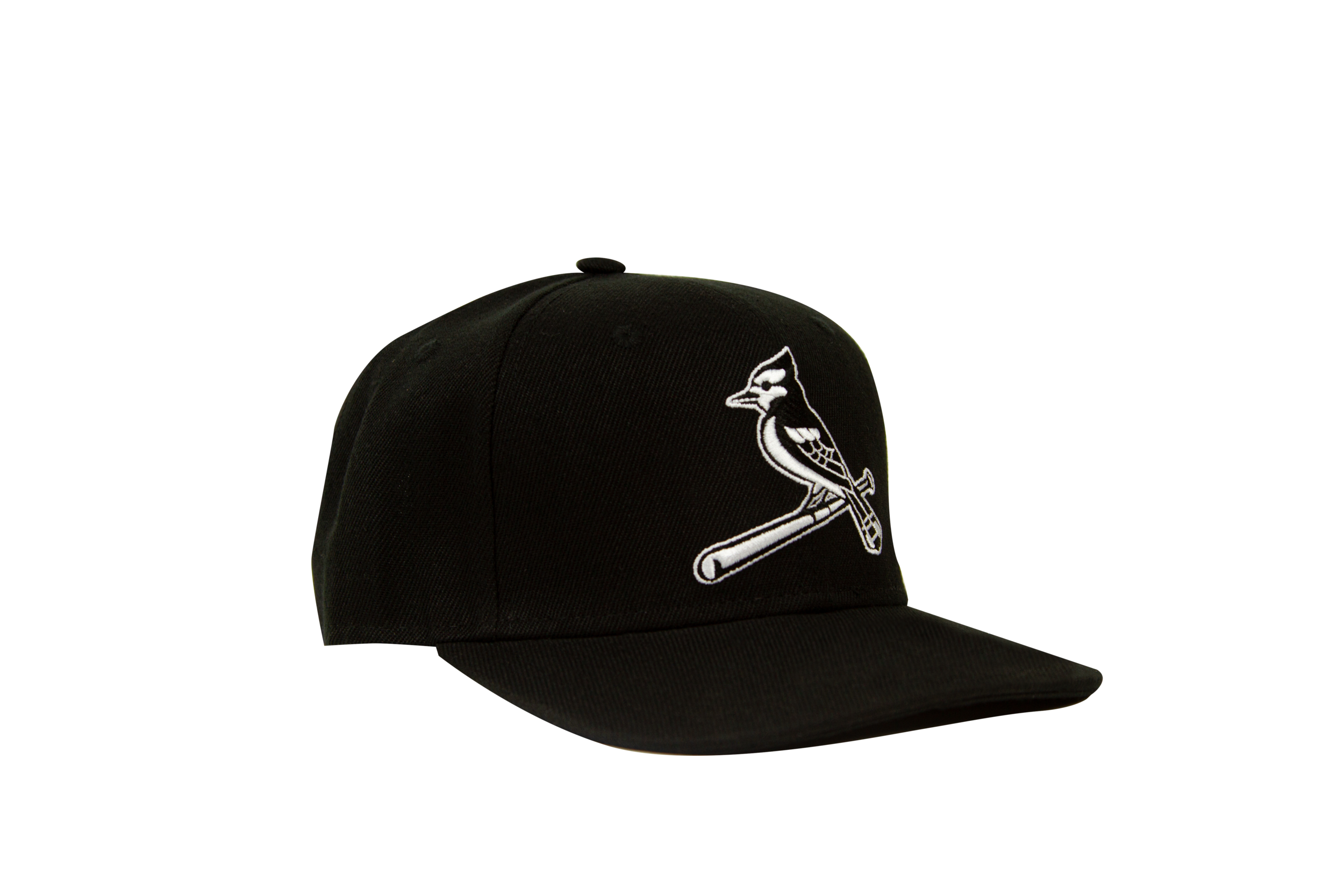 The Black Bird Snapback