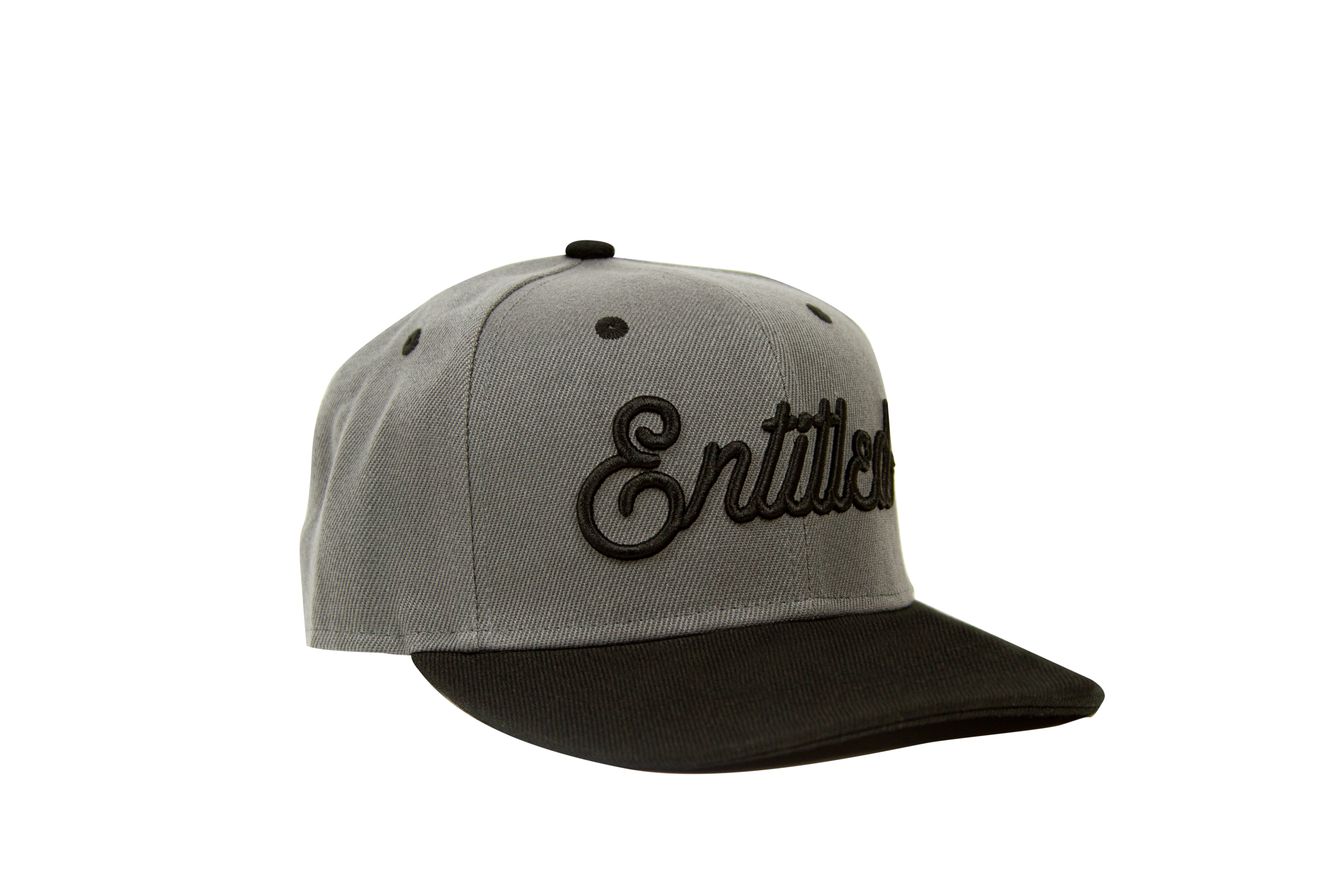 Entitled Script Logo Snapback