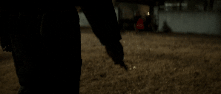 SafeVelvetyHoopoe-max-1mb.gif