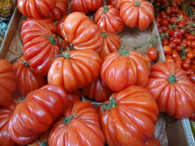  vegetables 