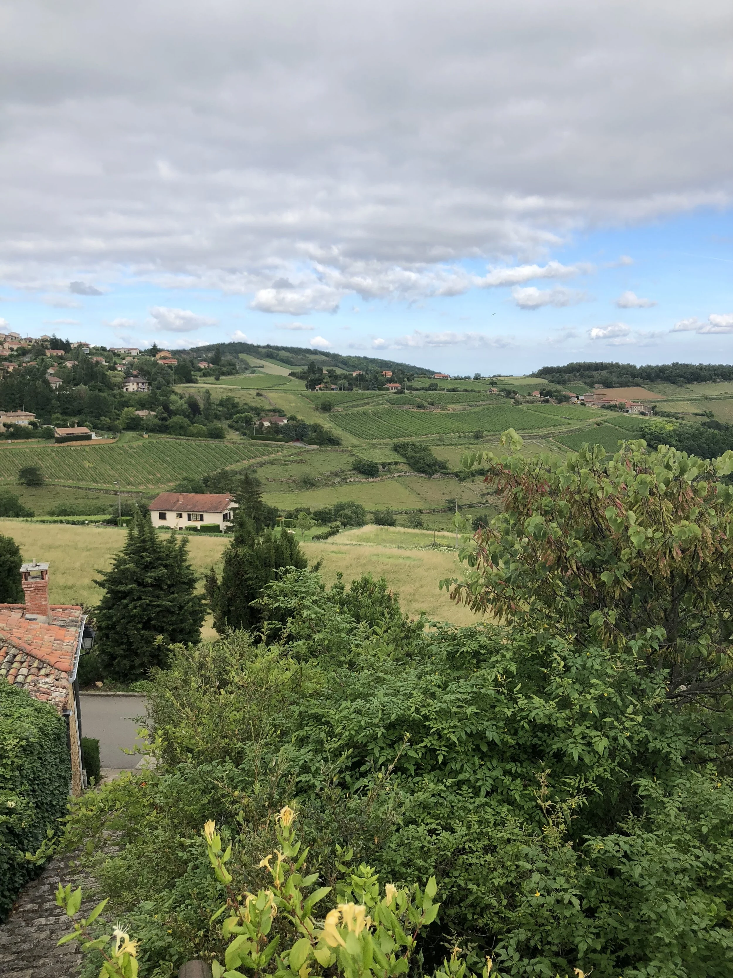 Southern Beaujolais, France