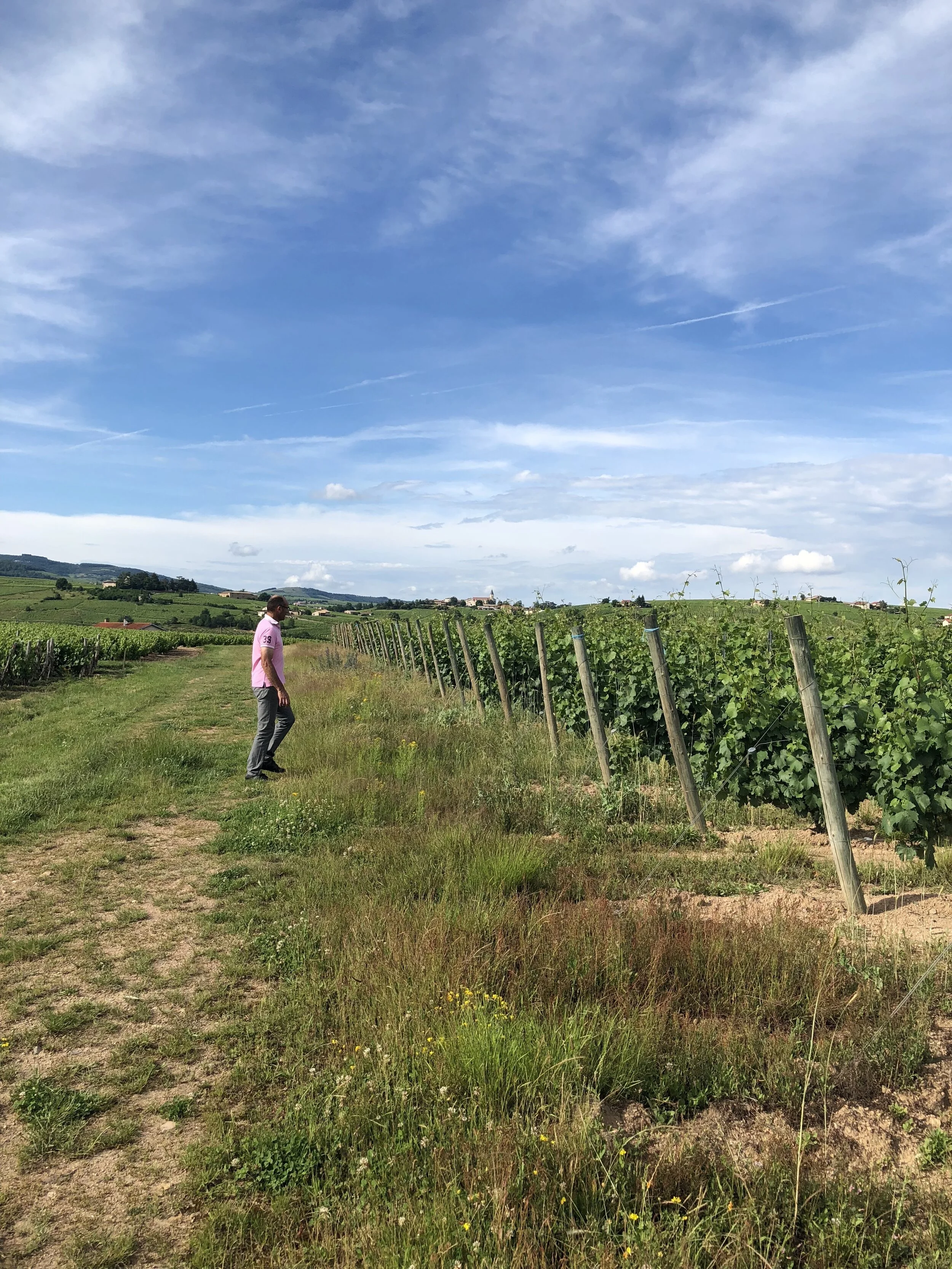 Robert Perroud - Brouilly Beaujolais 