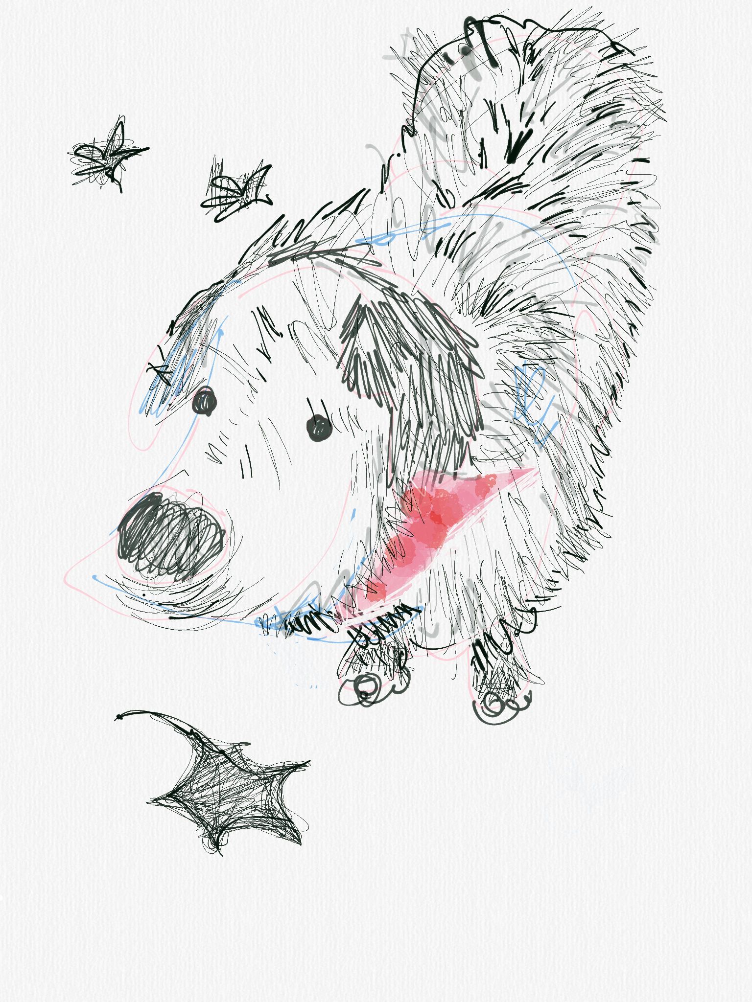 IMG_1163.png