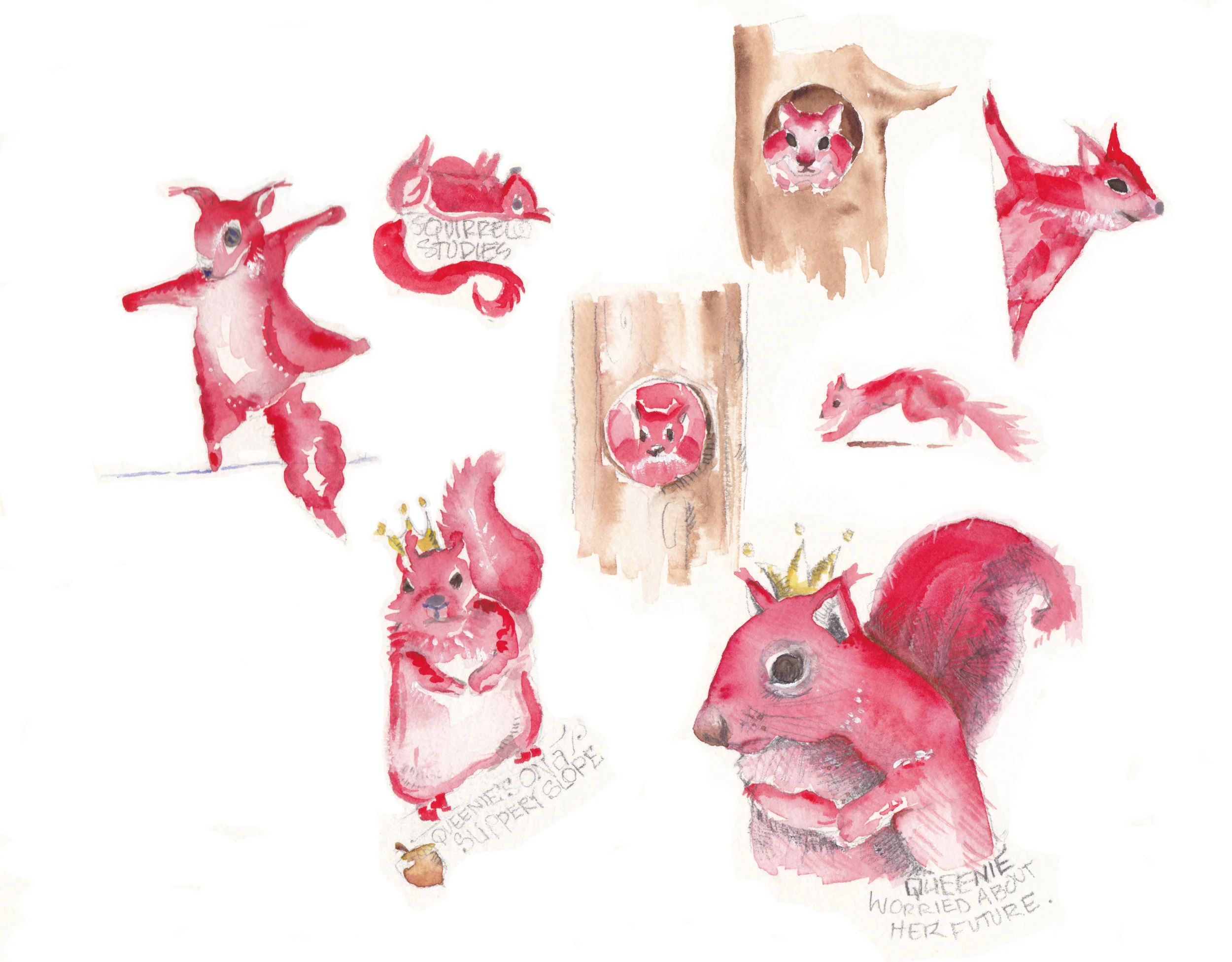 SquirrelStudies_2.jpg