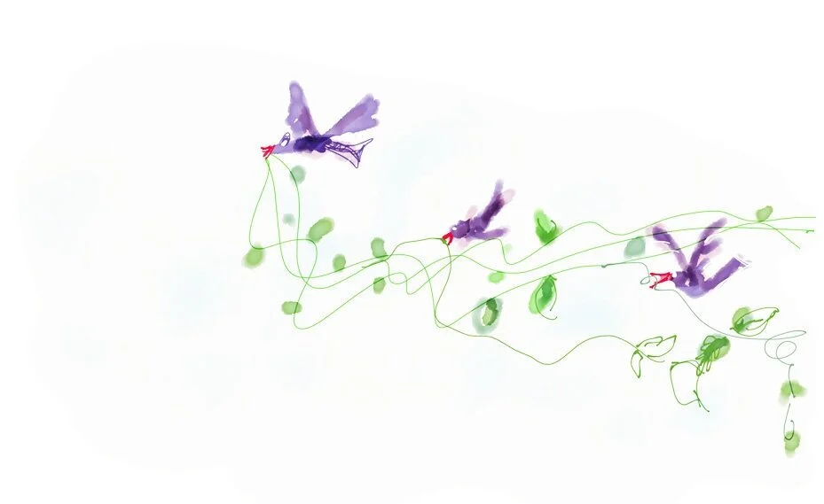 vines_test+copy.jpg