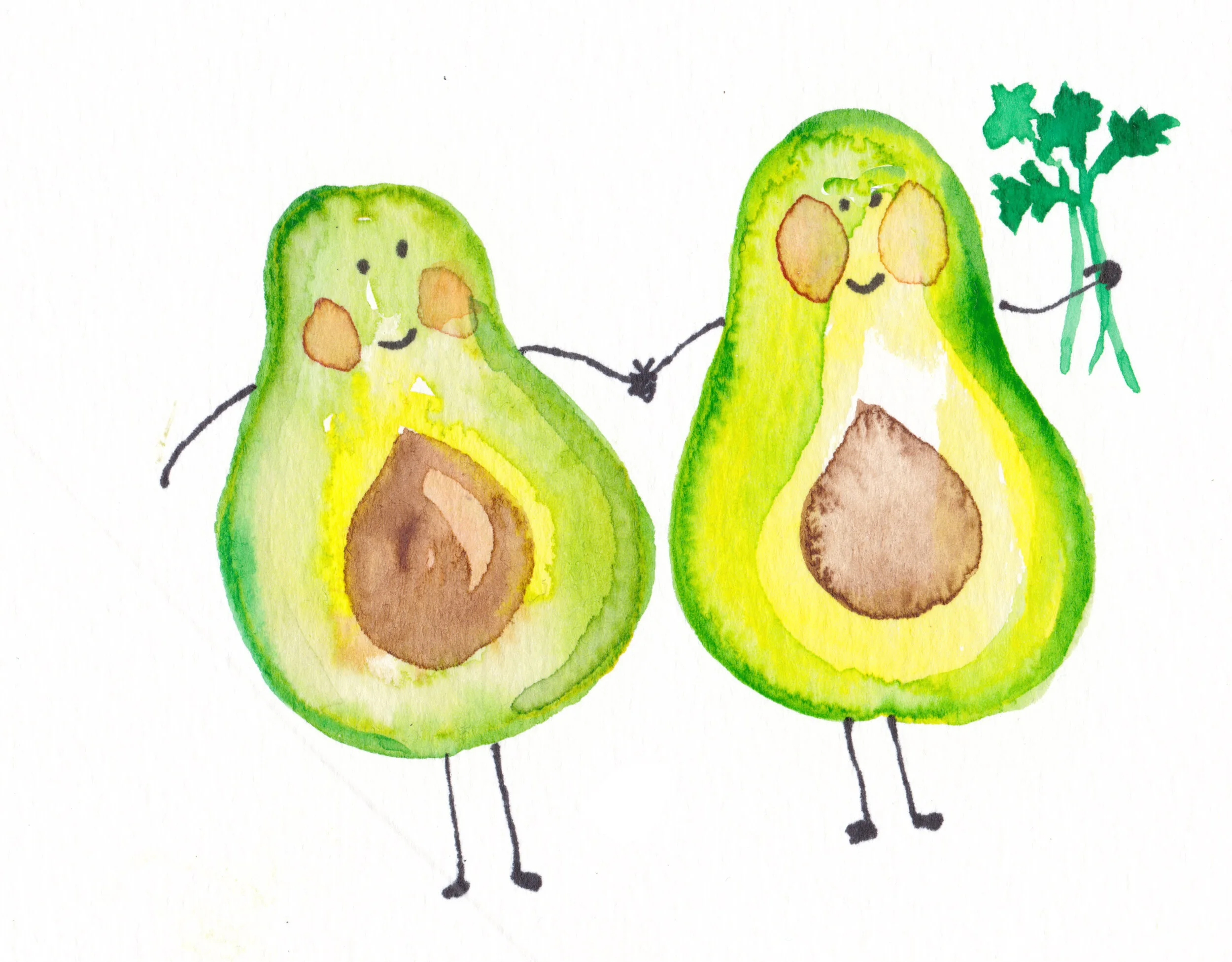 Avocados 1.jpg