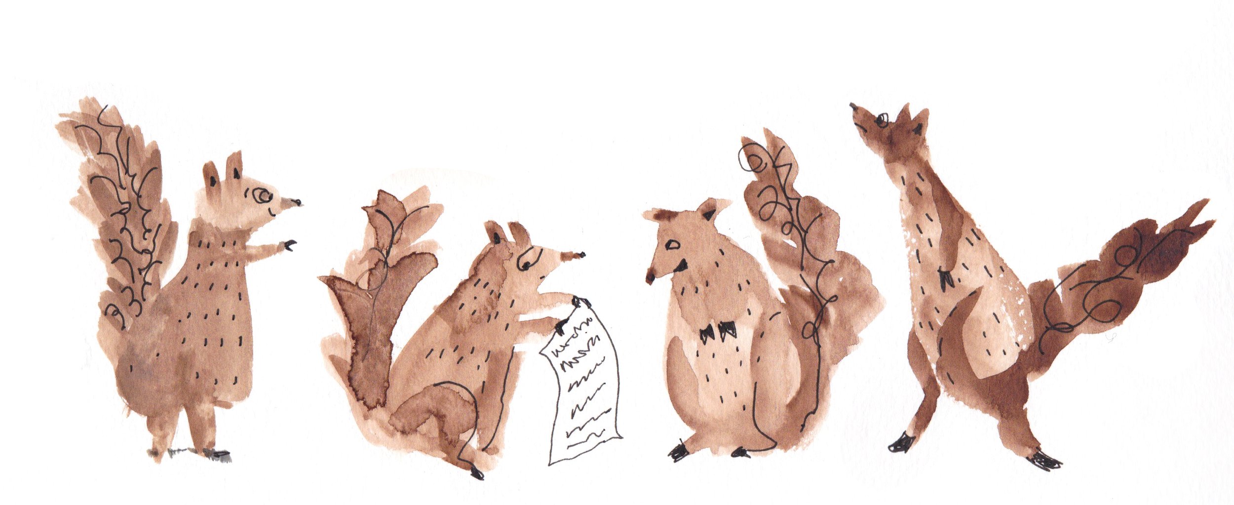 brown squirrels copy.jpg