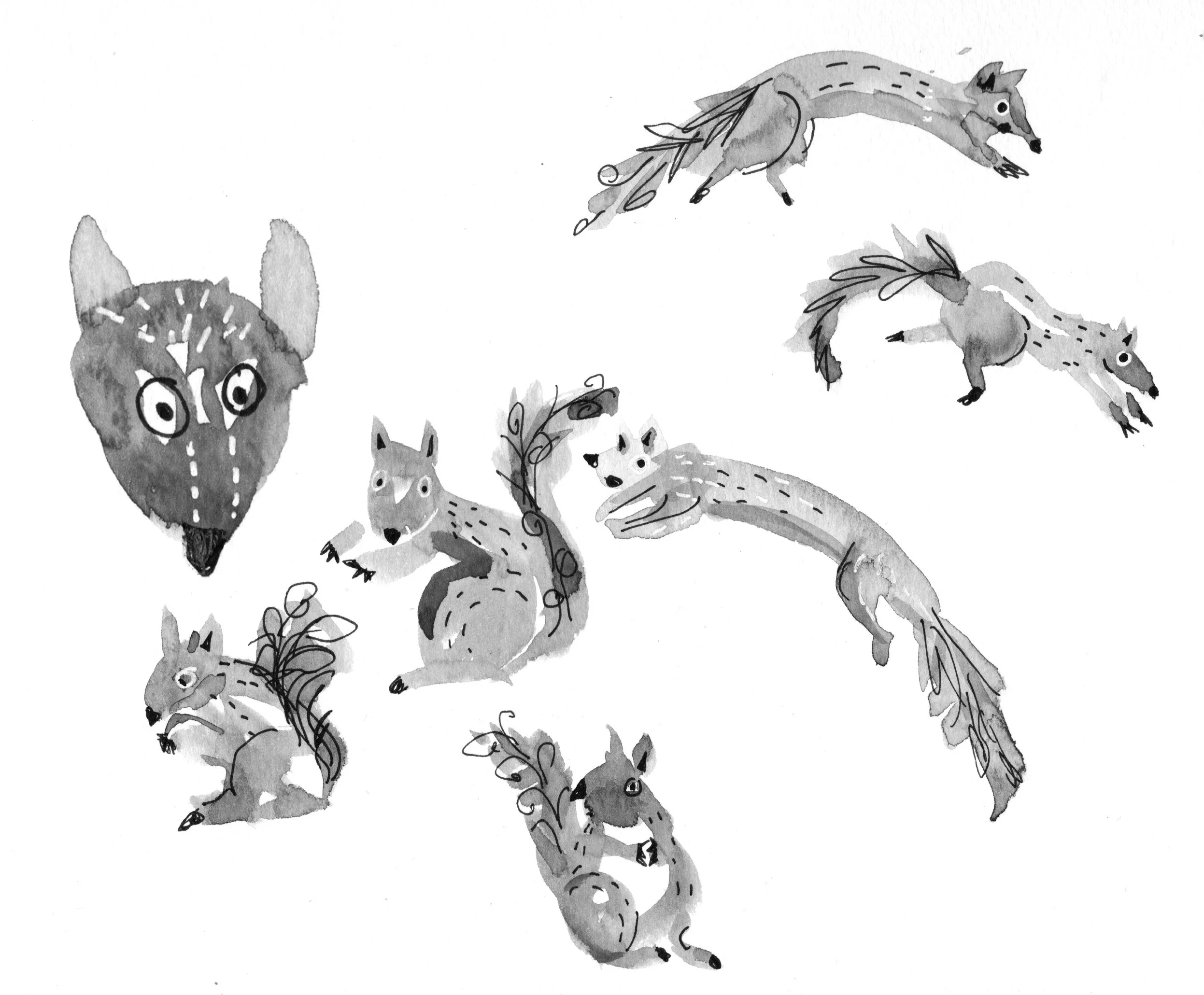 grey squirrels copy.jpg