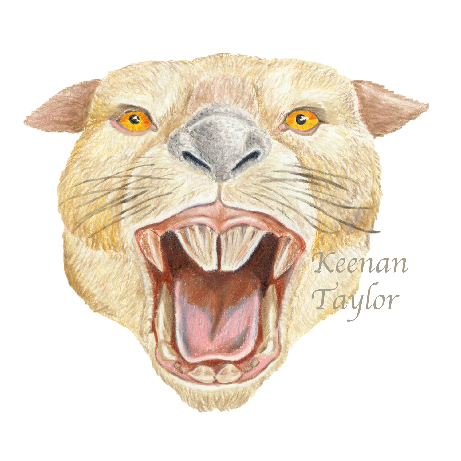 Thylacoleo carnifex