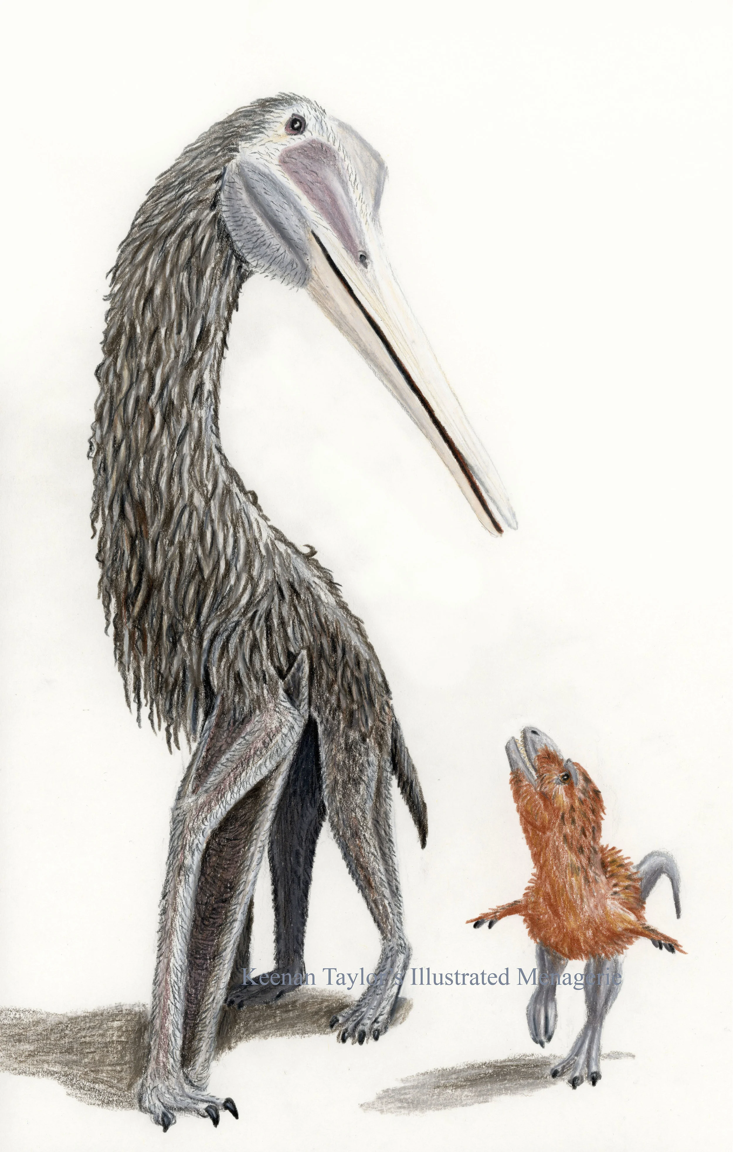 Quetzalcoatlus northropi and young Tyrannosaurus rex