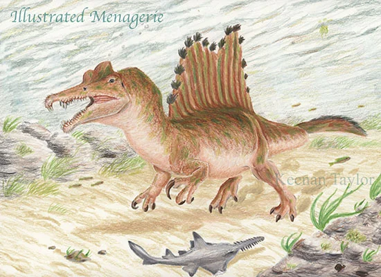 Spinosaurus aegyptiacus