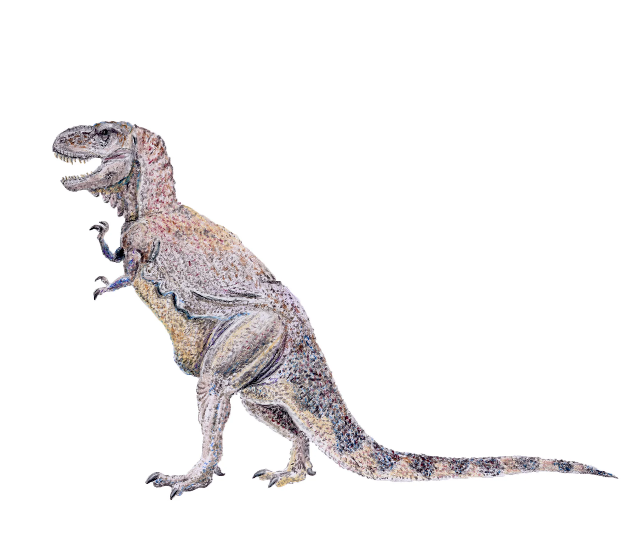Tyrannosaurus rex (1910's style)