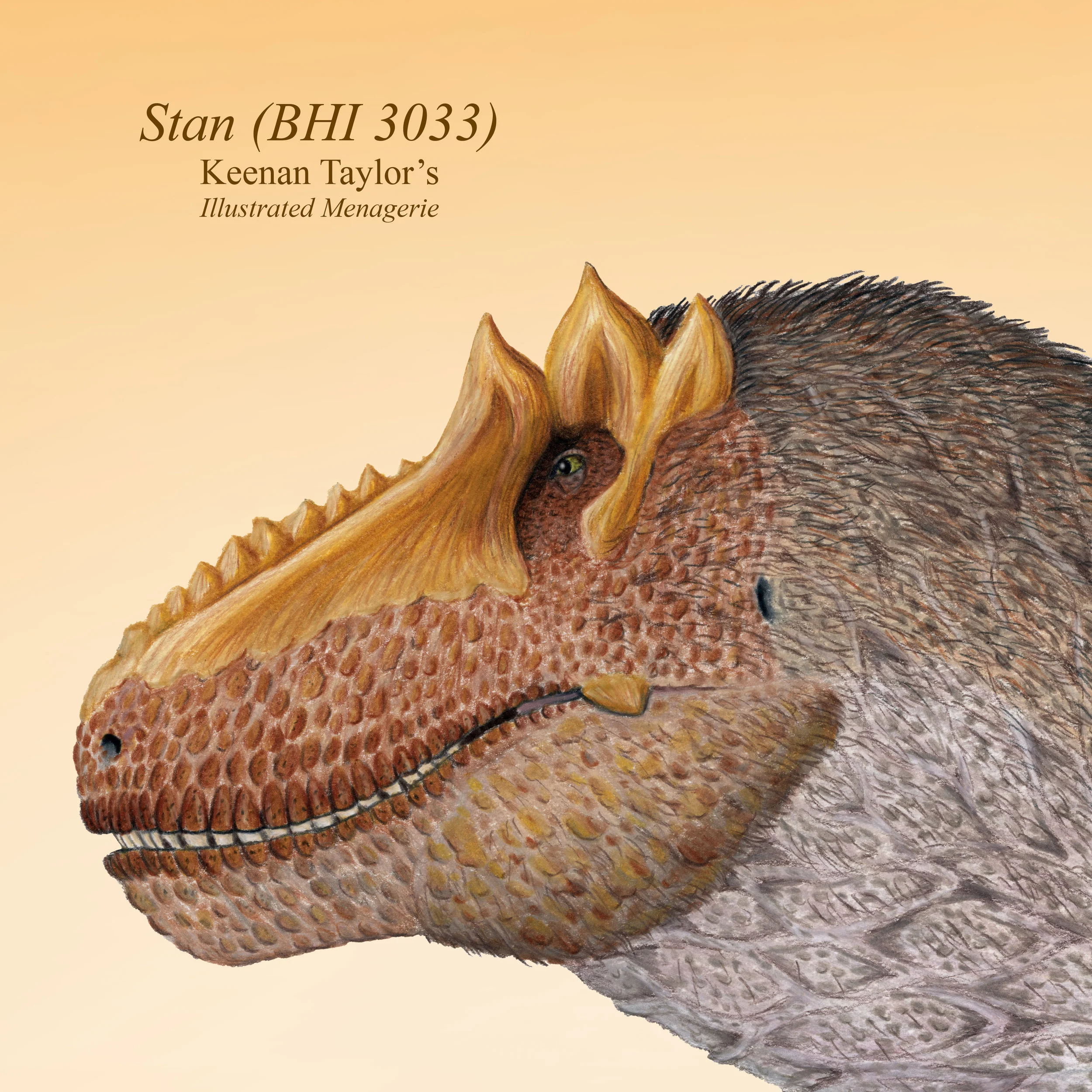 Stan (Male Tyrannosaurus rex)