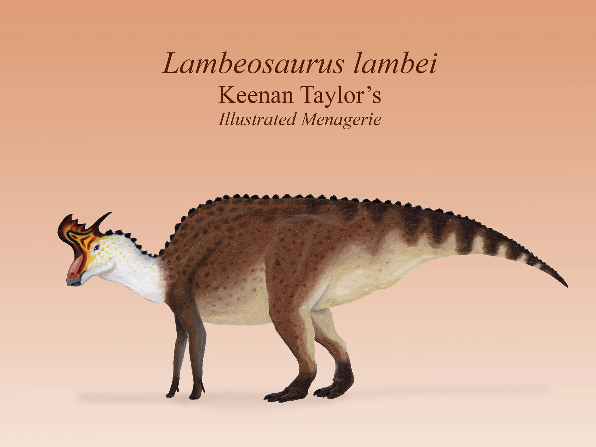 Lambeosaurus lateral