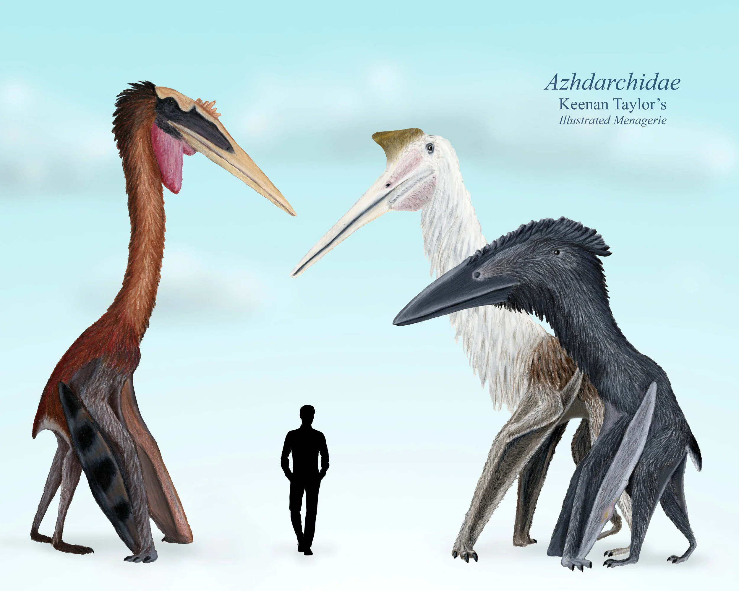 My Azhdarchidae