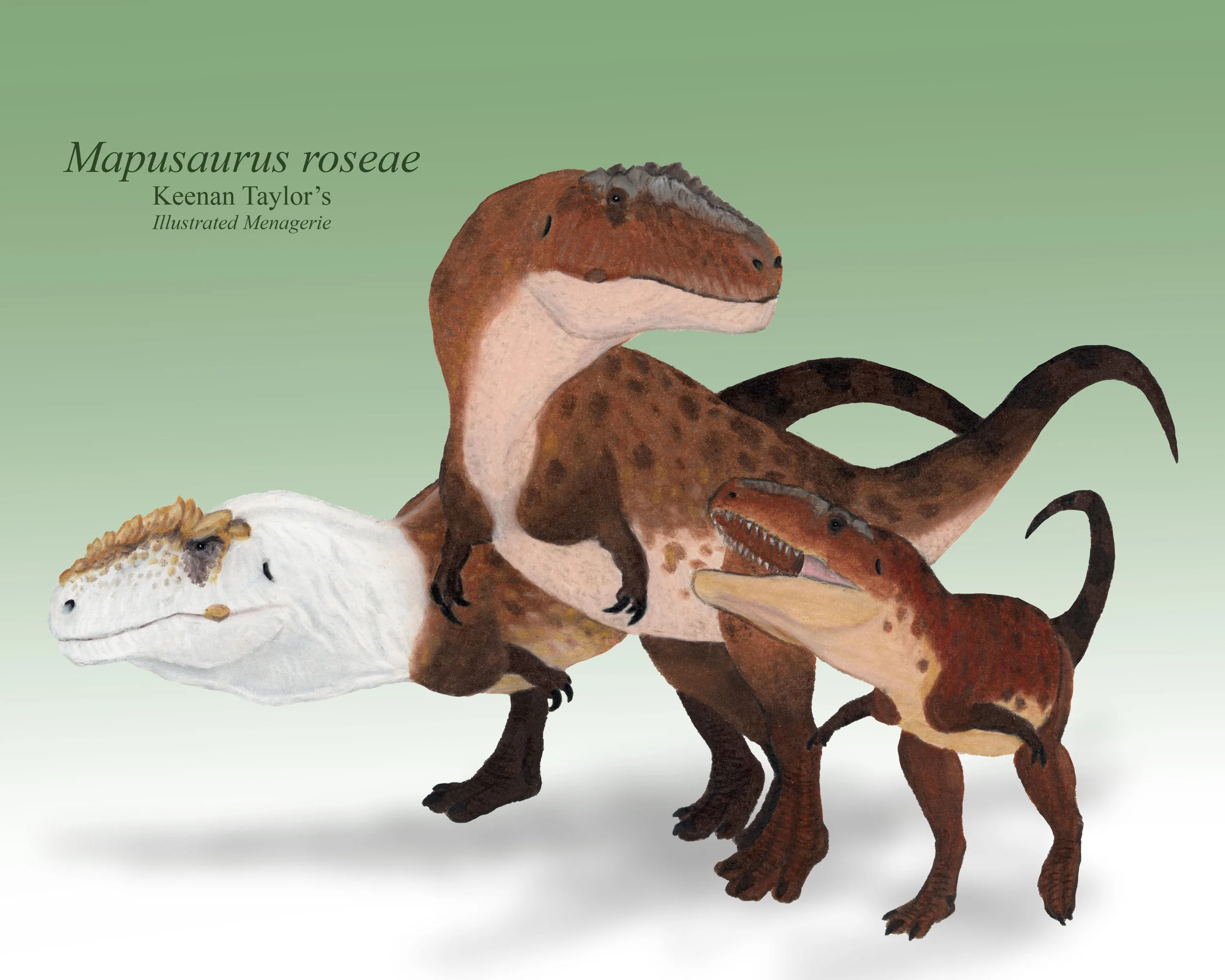 Mapusaurus family