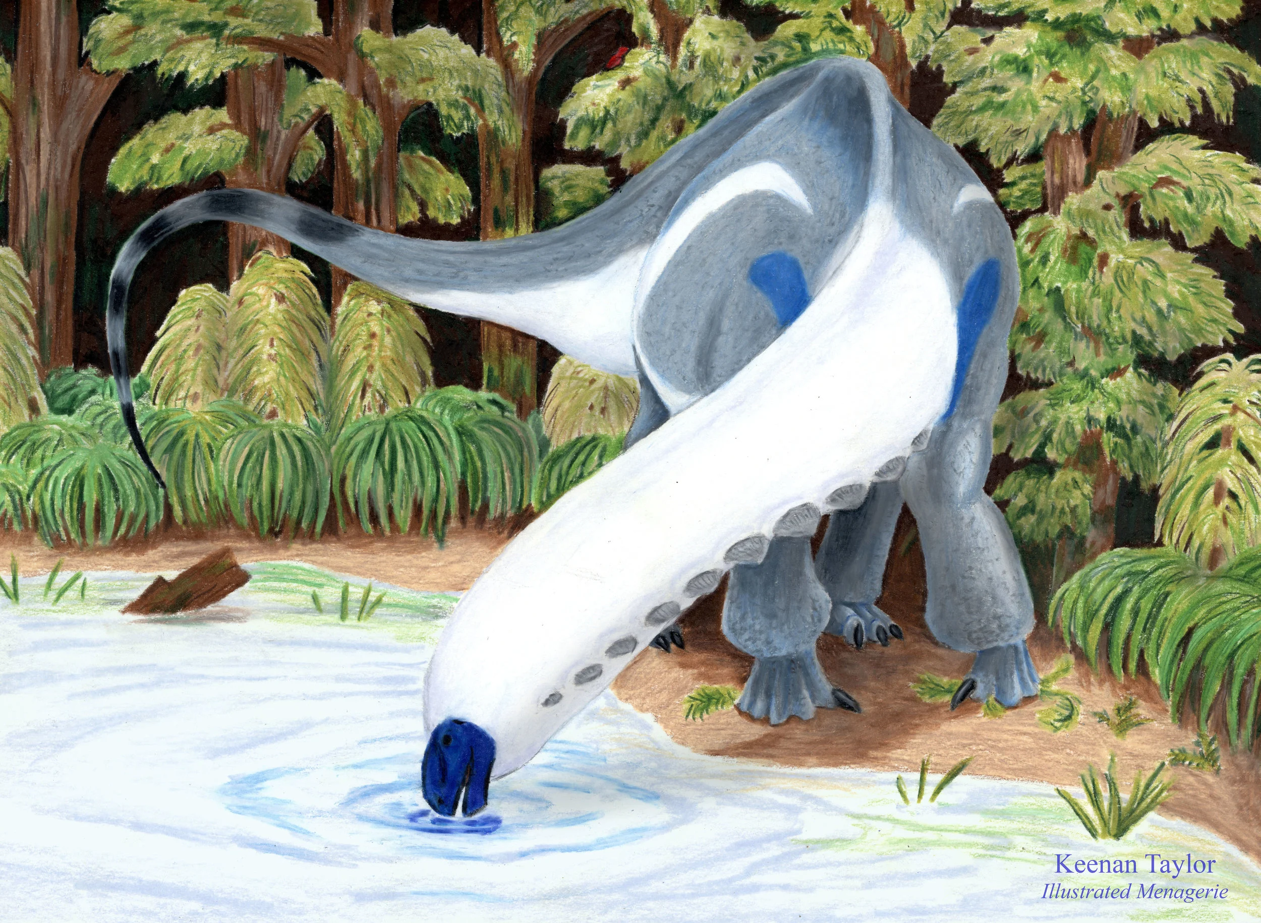 Apatosaurus