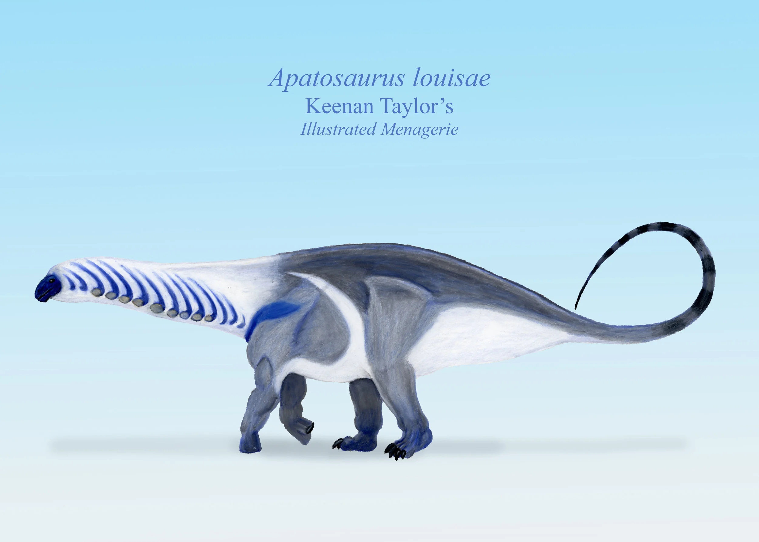 Apatosaurus lateral