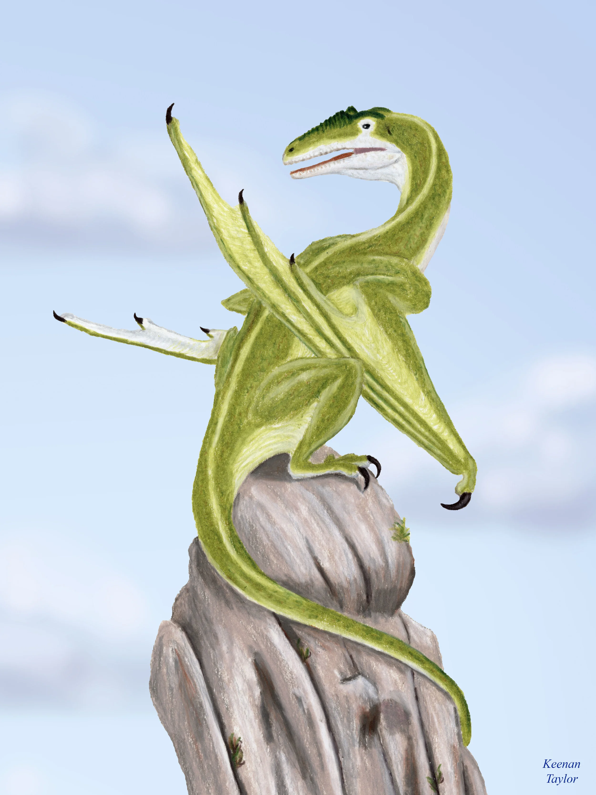 Wyvern