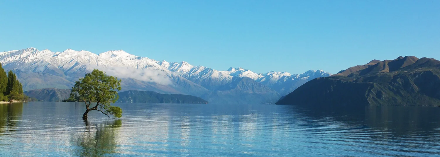 Neuseeland-lake-trree-mountains.jpg