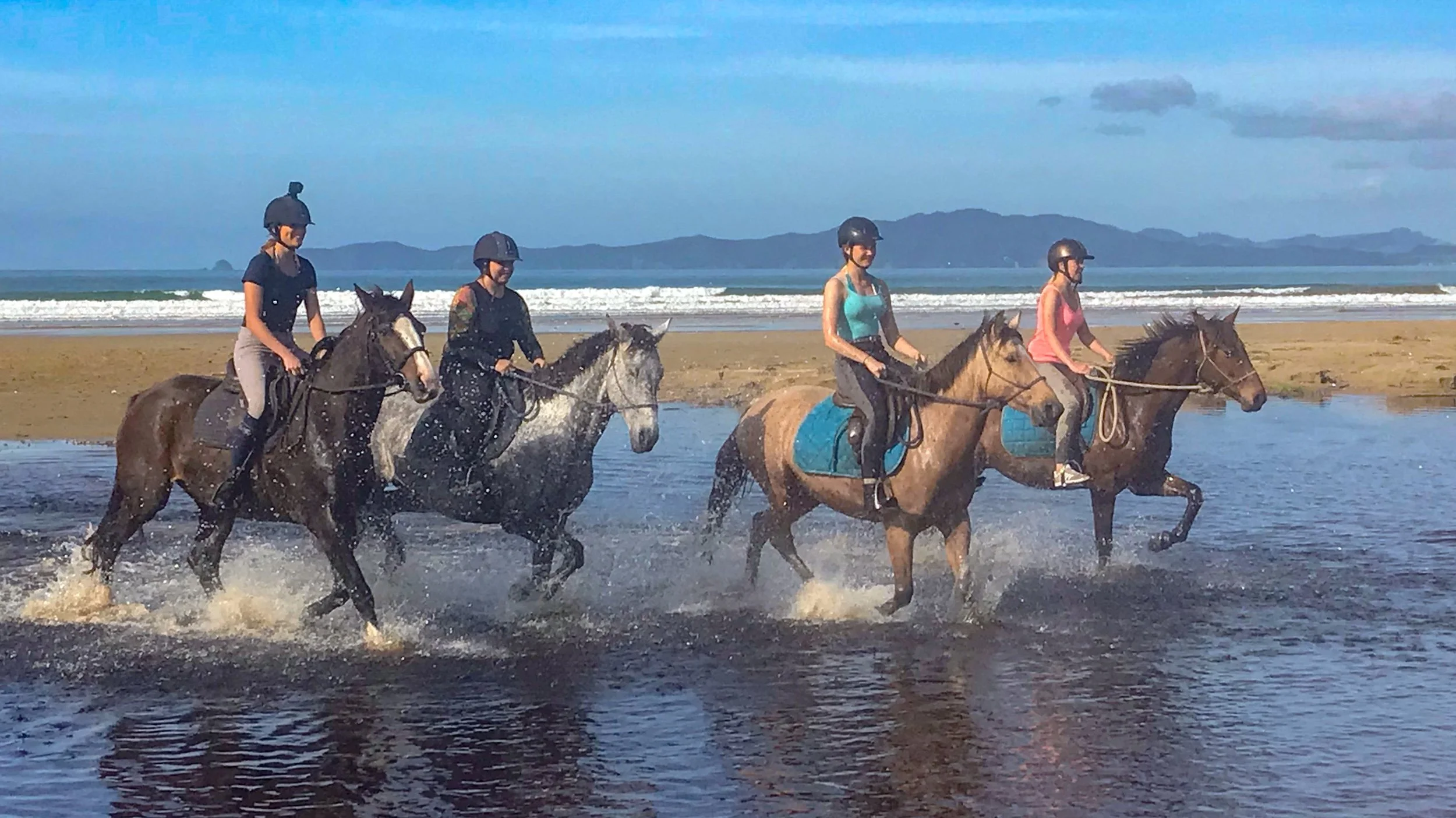 Online-Infoveranstaltung Abenteuer Neuseeland: Alles zum High-School-Aufenthalt – mit Live-Returnee!  