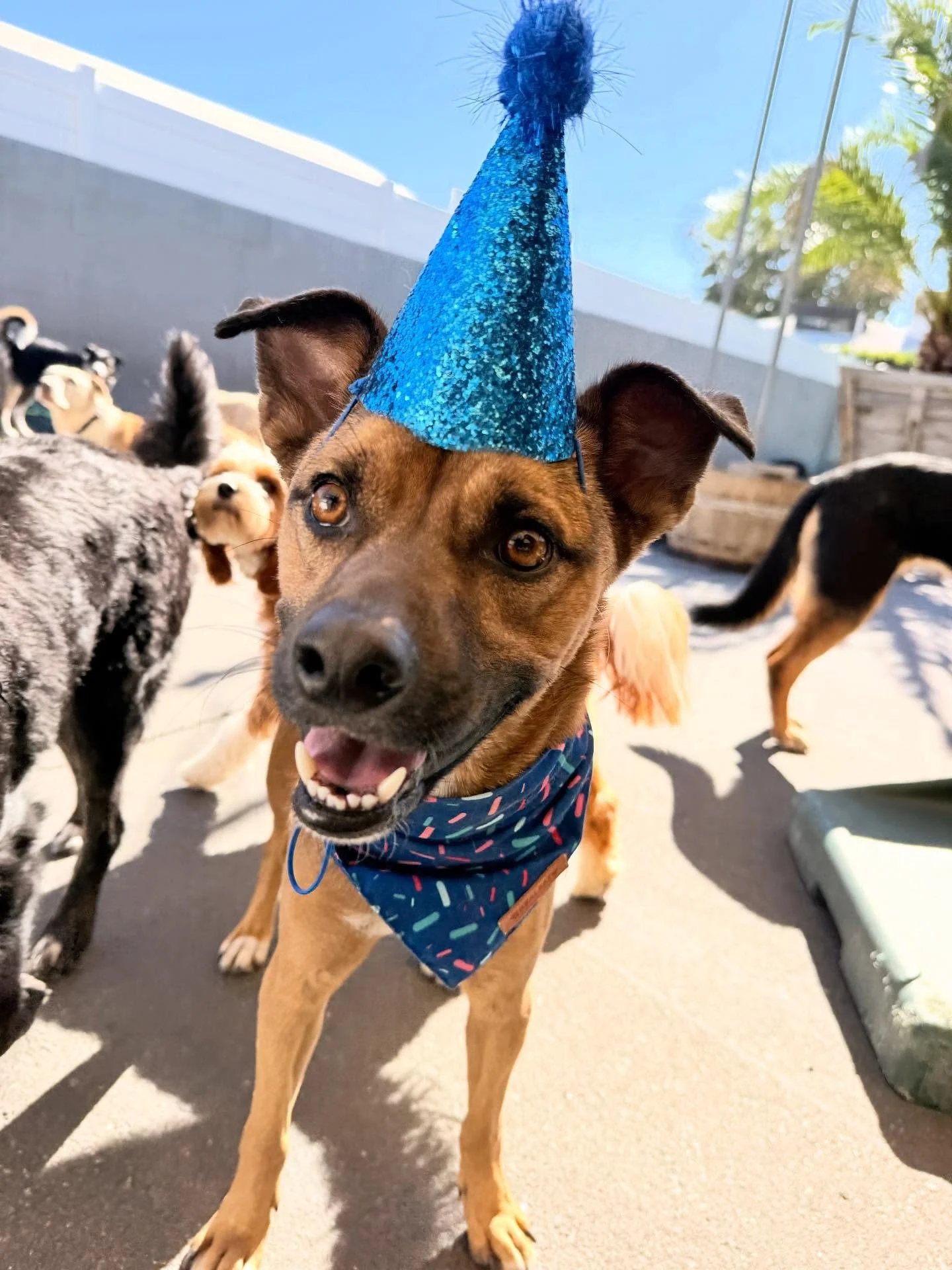 Happy Birthday Zion!!! 🎉🎉🎉