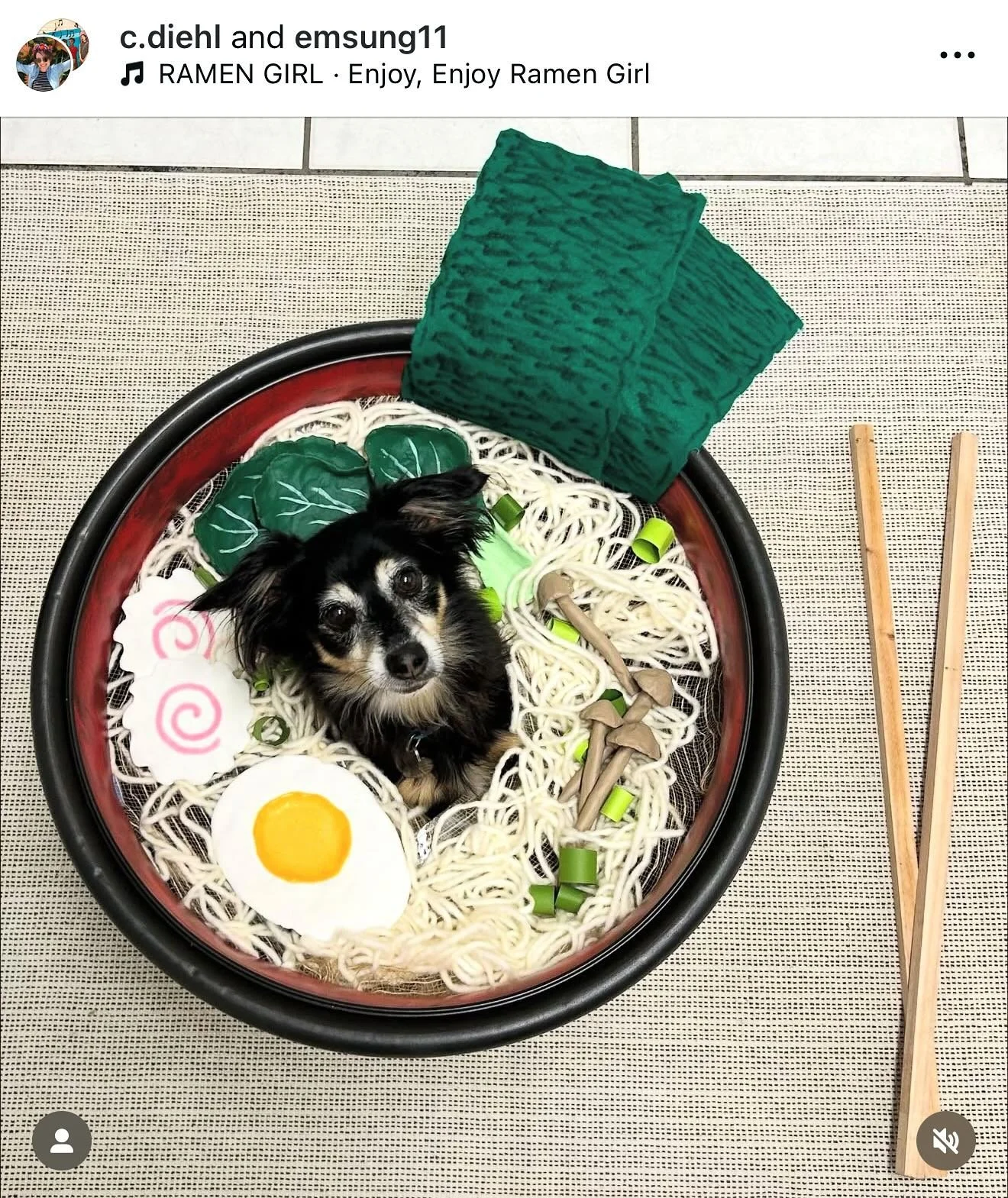 The winners of the @westladogs 2025 Halloween Costume Contest are&hellip;

🥇Hazel
🥈Ziggy
🥉Benny

Thank you to everyone who entered!! 🎃👻🍂