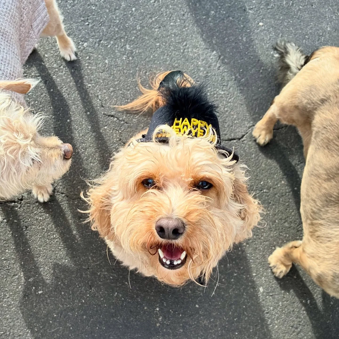 Happy New Year!! 🎊