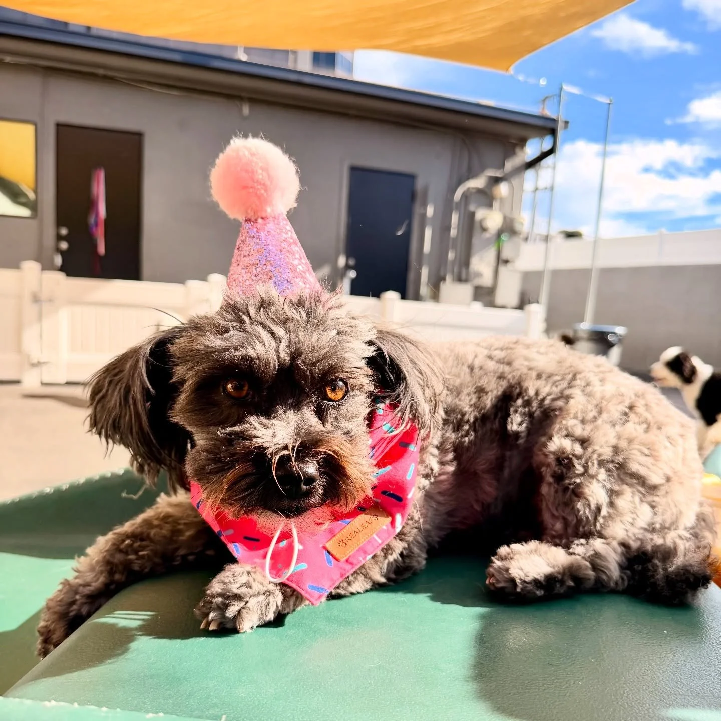 Happy Birthday Gaby! 💓💓💓